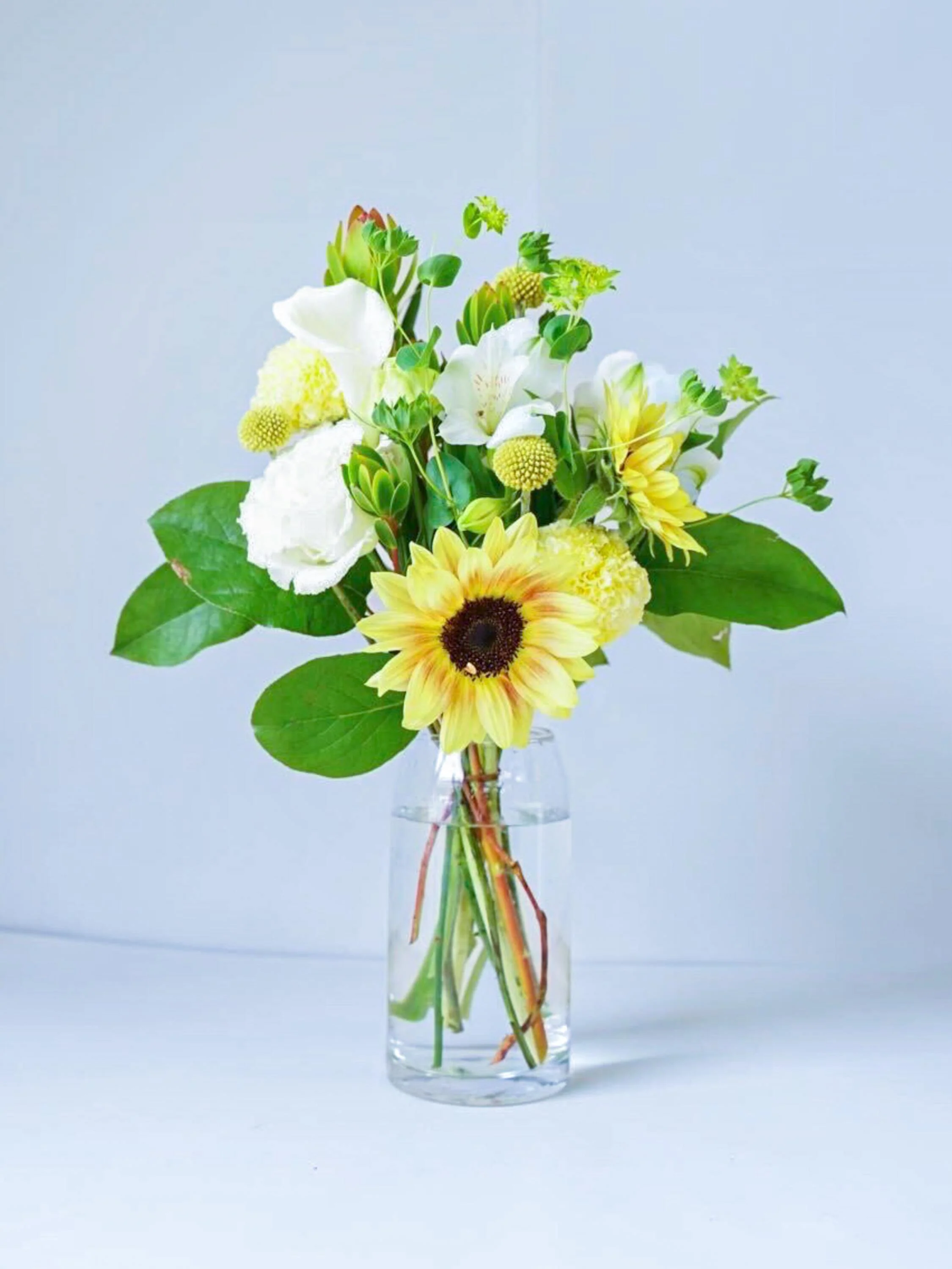 【店舗配送】フローリストにおまかせ 季節の花束 M - イエロー - - Image 36