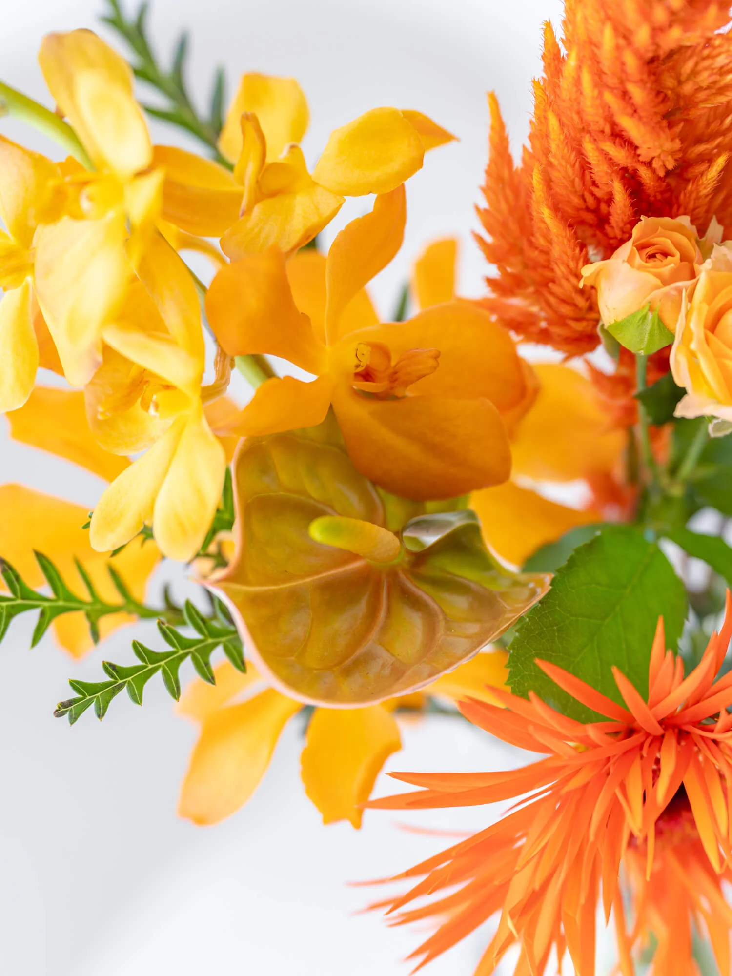 【店舗配送】フローリストにおまかせ 季節の花束 S - ミックス - - Image 11