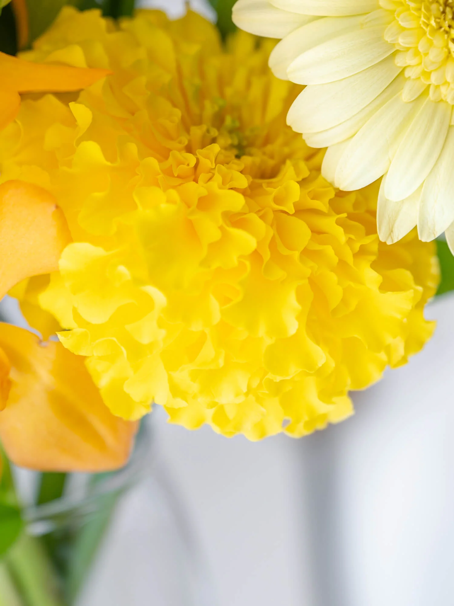 【店舗配送】フローリストにおまかせ 季節の花束 S - イエロー - - Image 12