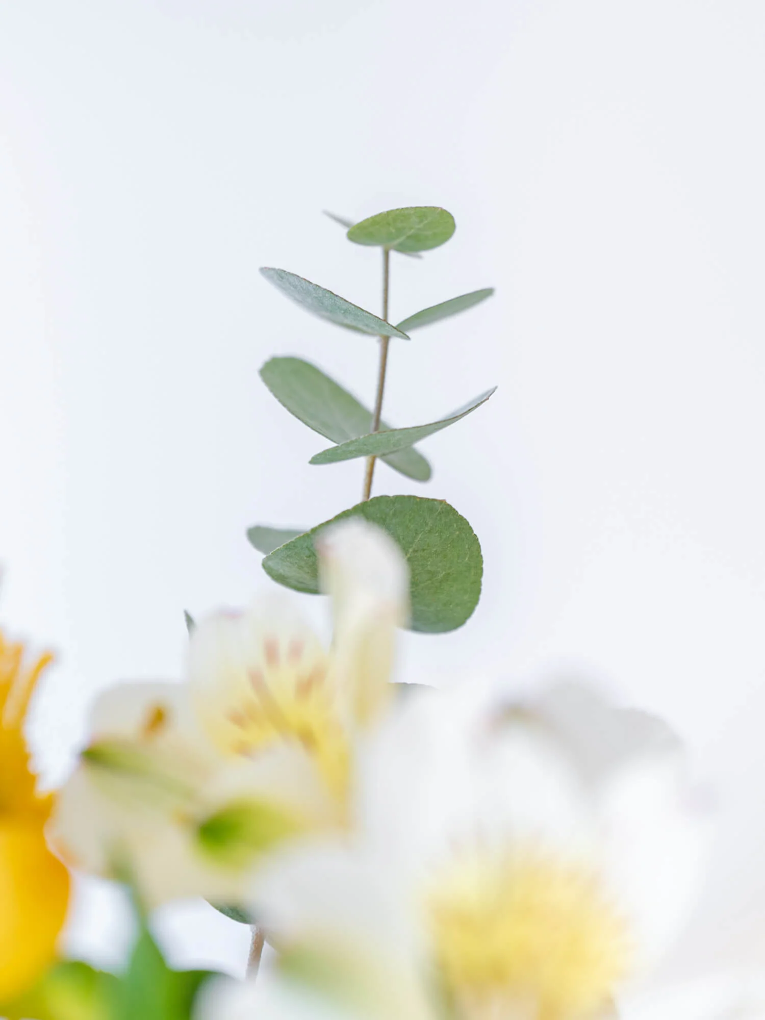 【店舗配送】フローリストにおまかせ 季節の花束 S - イエロー - - Image 17