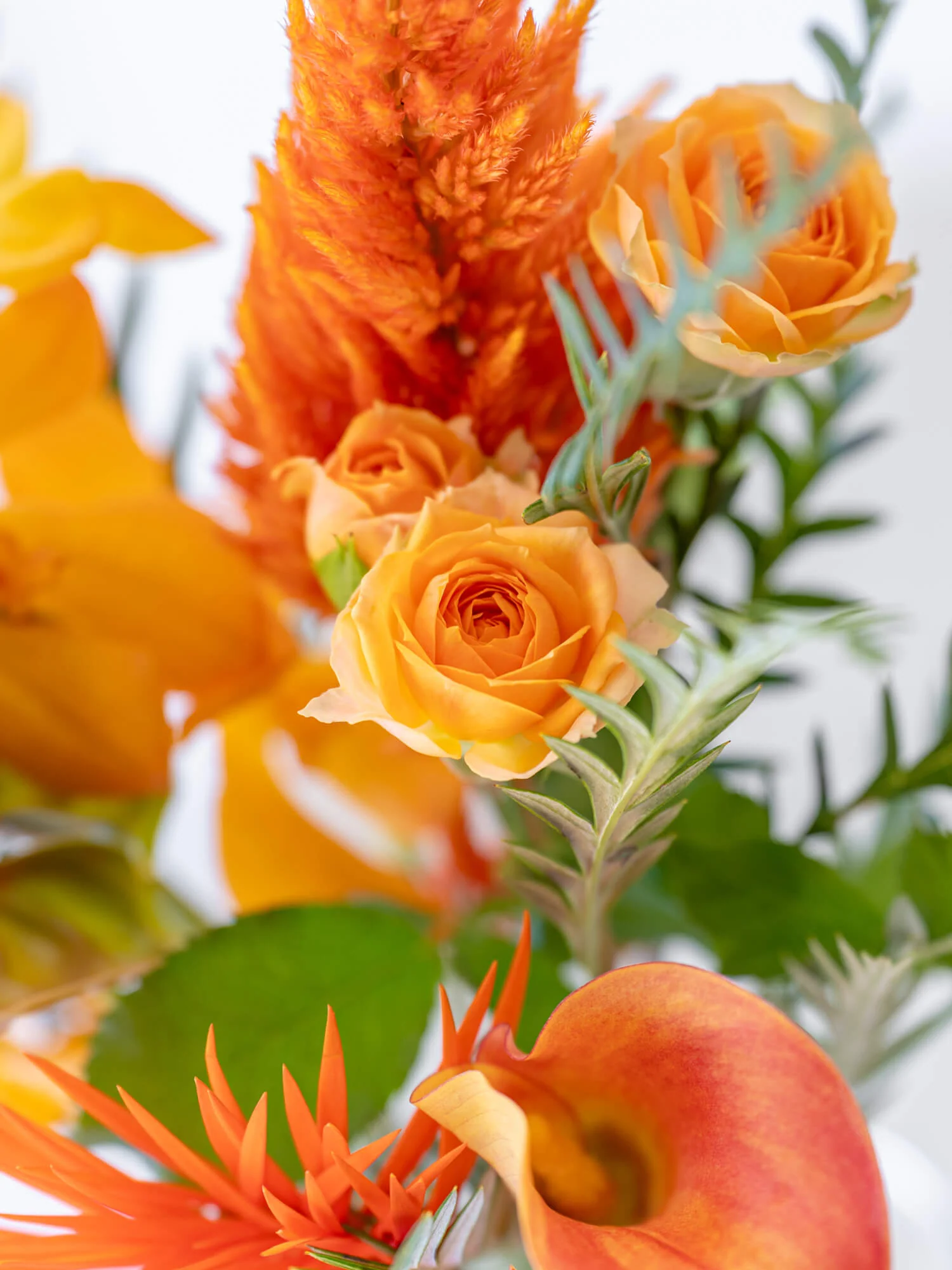 【店舗配送】フローリストにおまかせ 季節の花束 S - グリーン - - Image 18