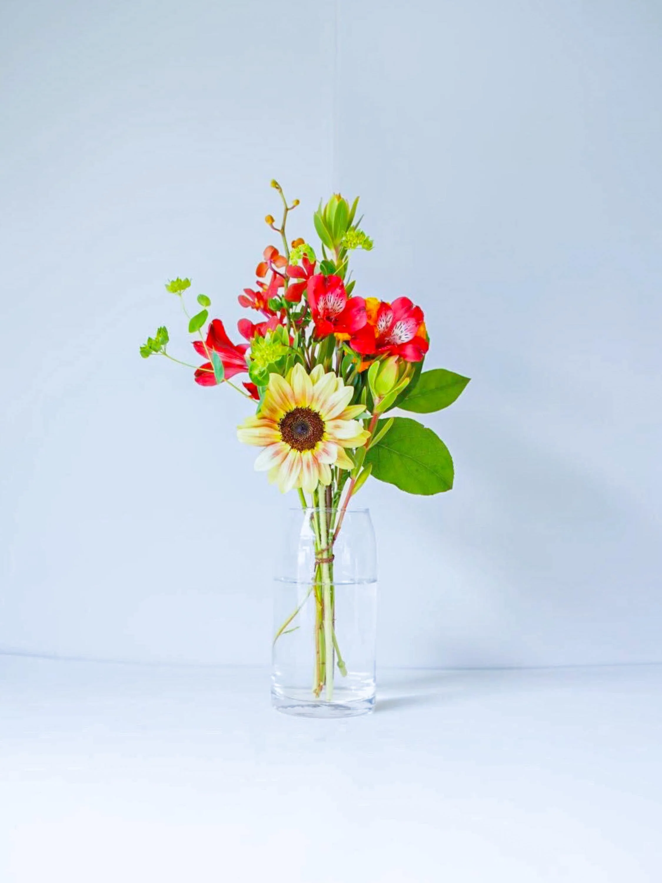 【店舗配送】フローリストにおまかせ 季節の花束 S - ミックス - - Image 36