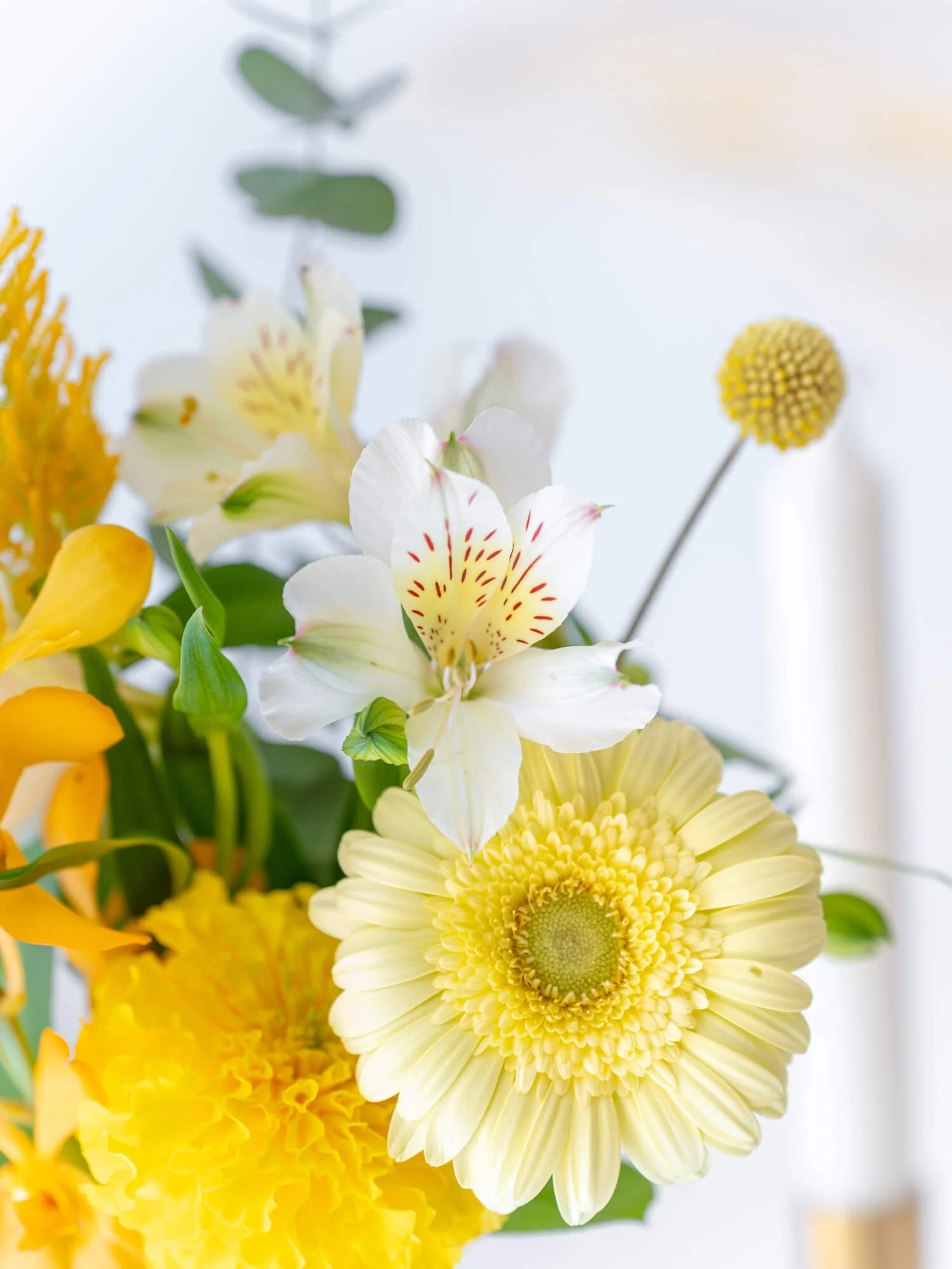 【店舗配送】フローリストにおまかせ 季節の花束 S - グリーン - - Image 9