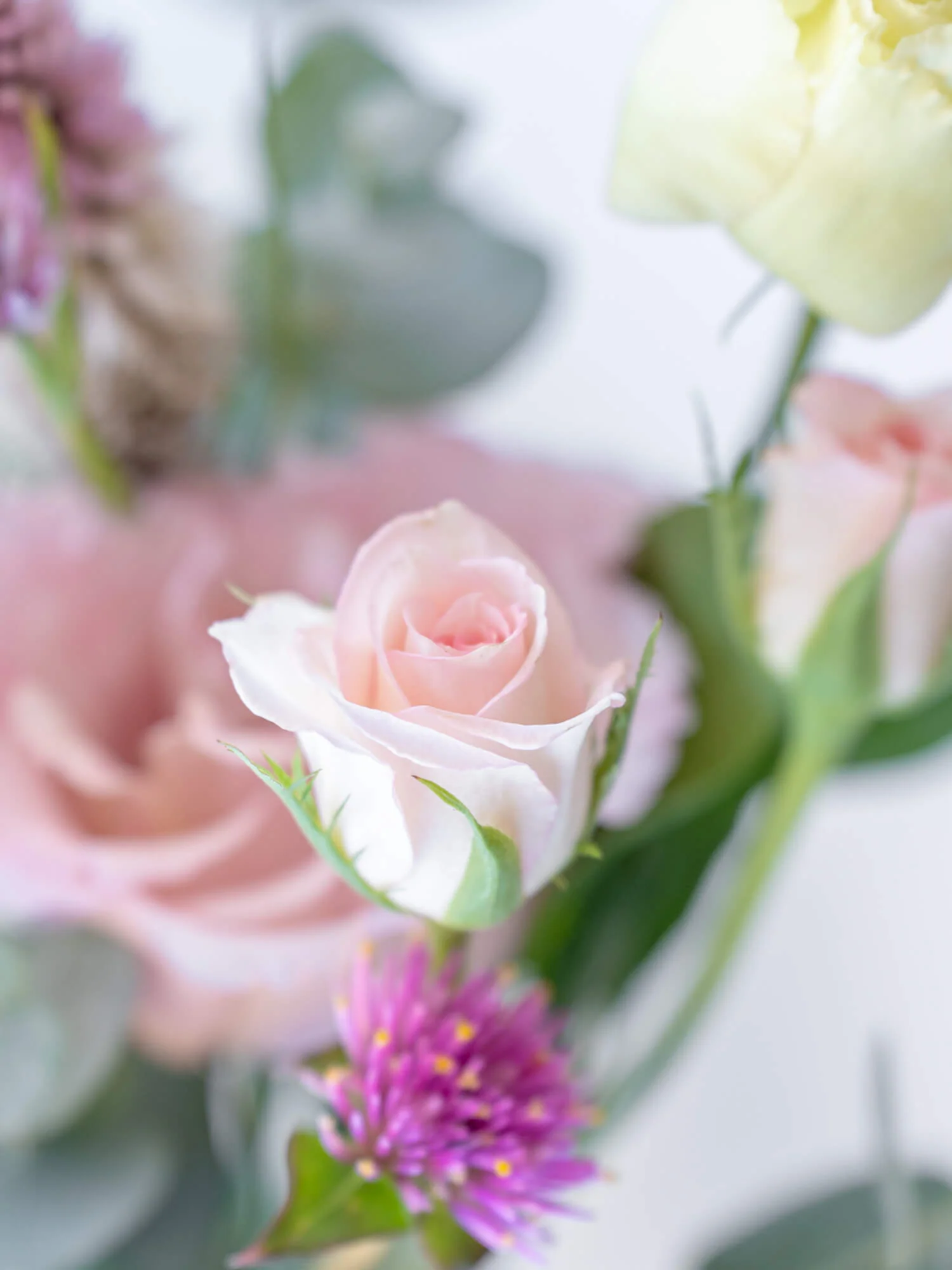 【店舗配送】フローリストにおまかせ 季節の花束 S - ピンク - - Image 15