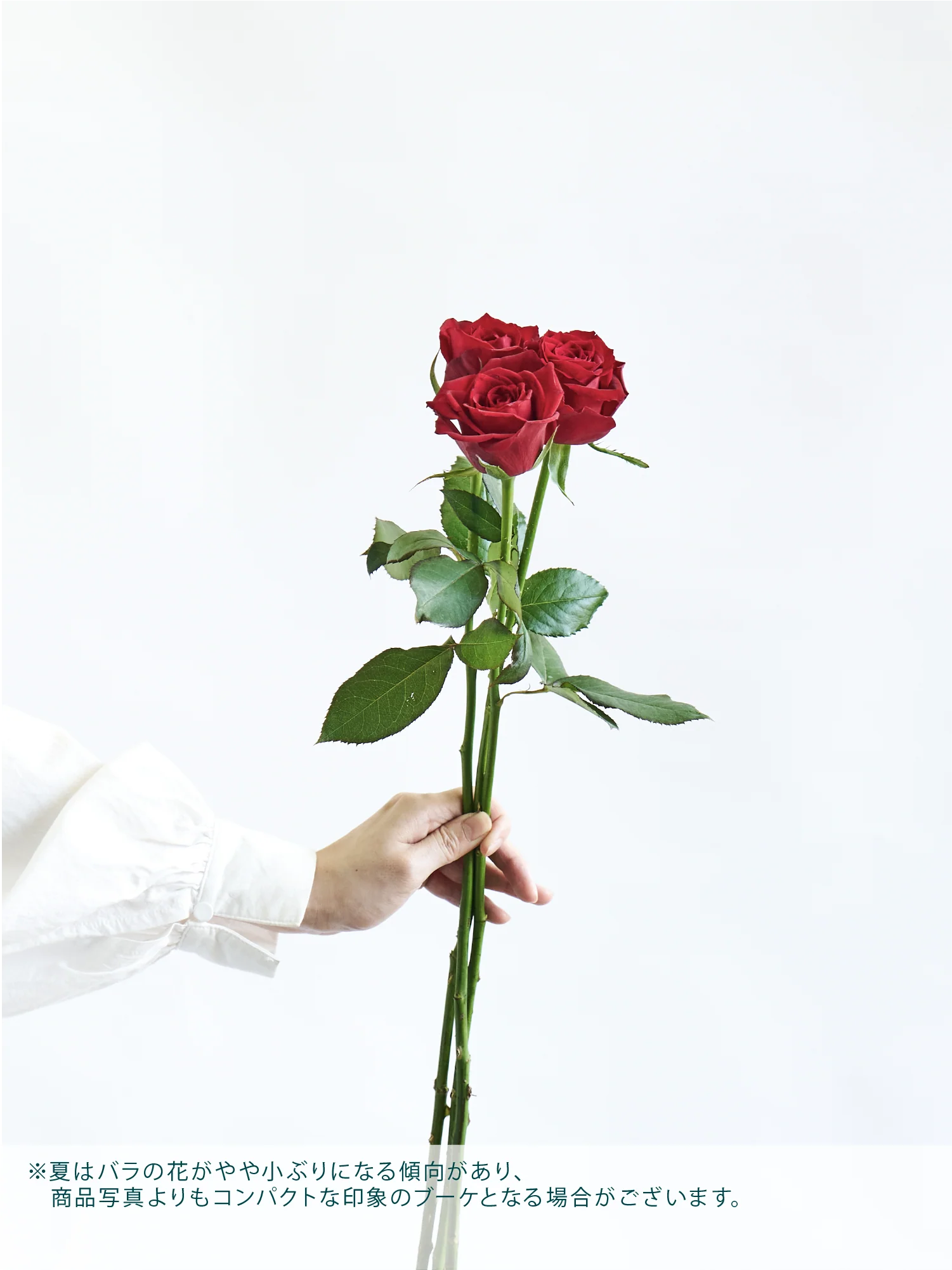 バラの花束 12本 - レッド&ピンク - - Image 12