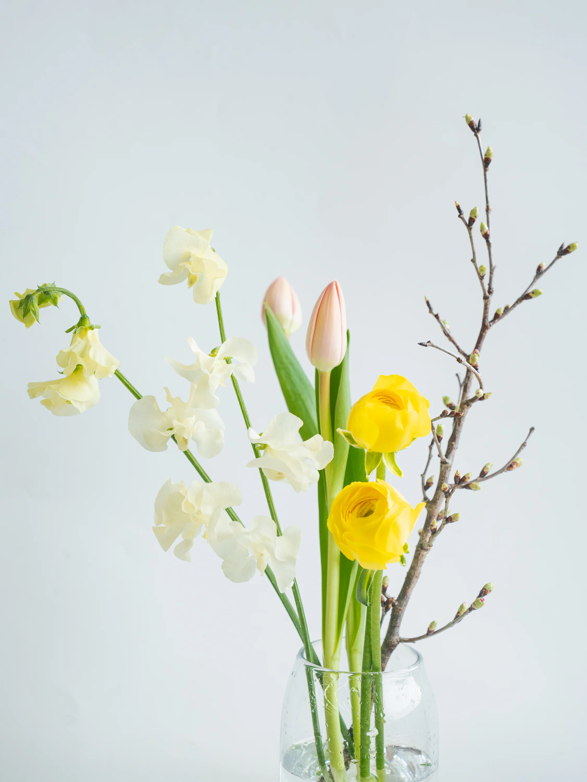 【1/23〜1/25到着】スプリングMIX -桜-1束 - Image 7