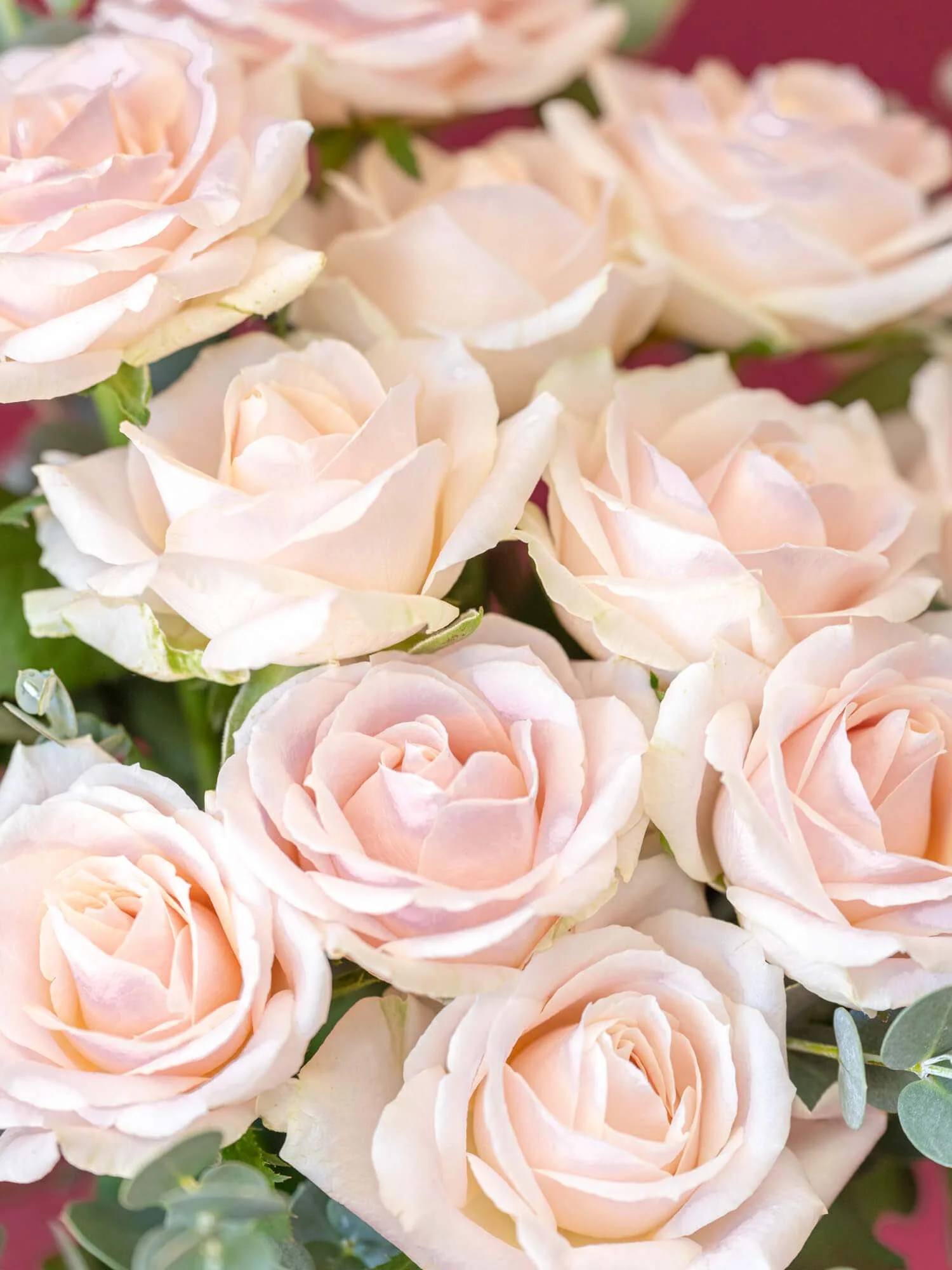 バラの花束 12本 - ピンク - - Image 9