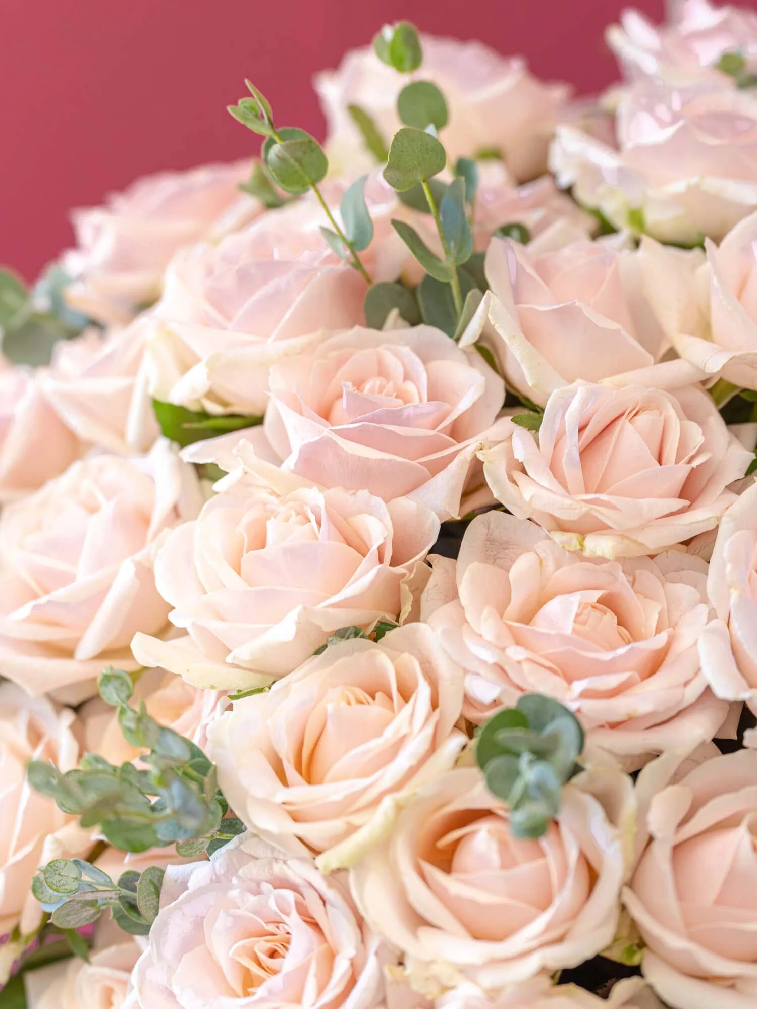 【誕生日ギフト】バラの花束 30本 - ピンク - - Image 11