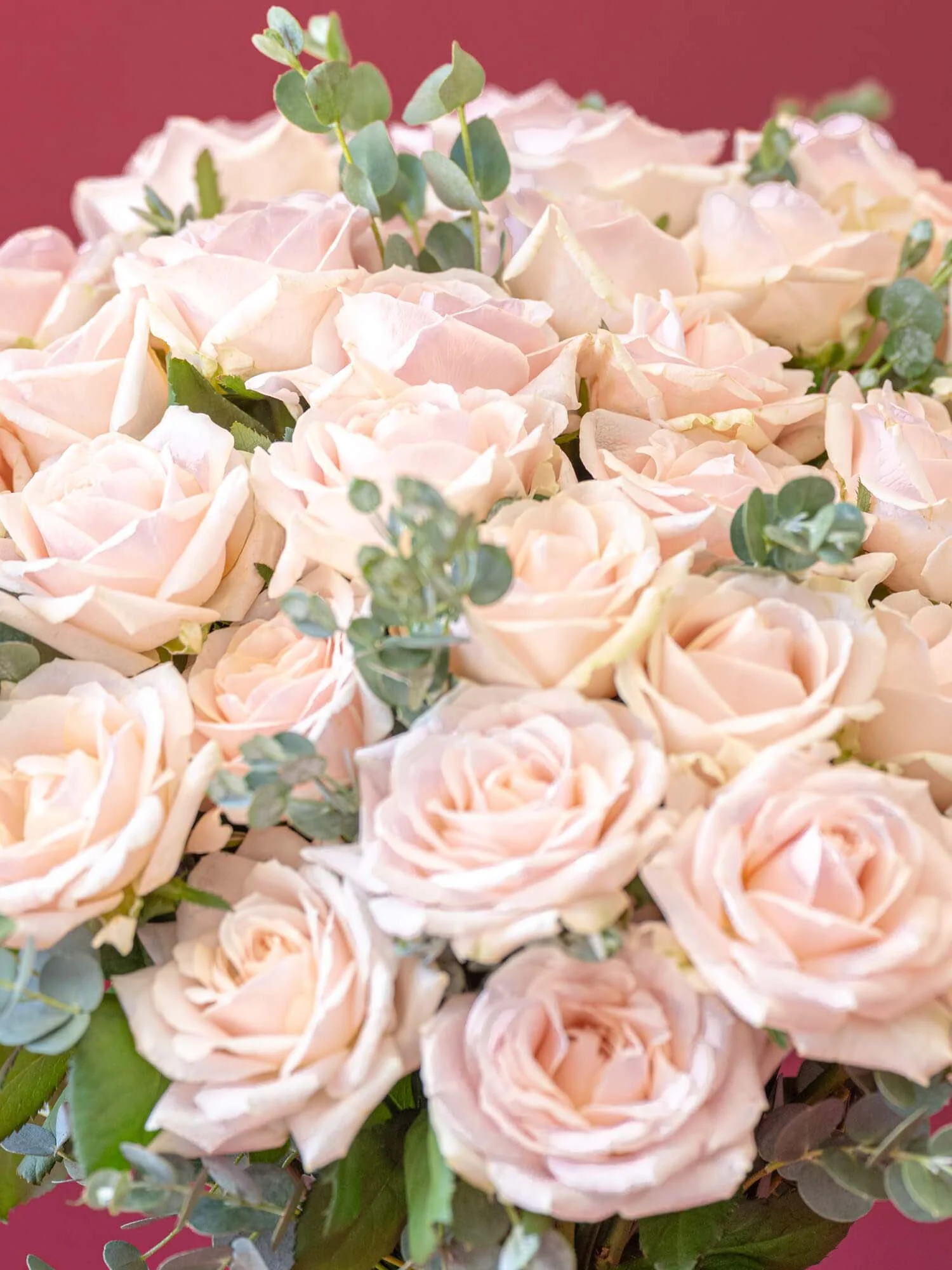 【誕生日ギフト】バラの花束 30本 - ピンク - - Image 12