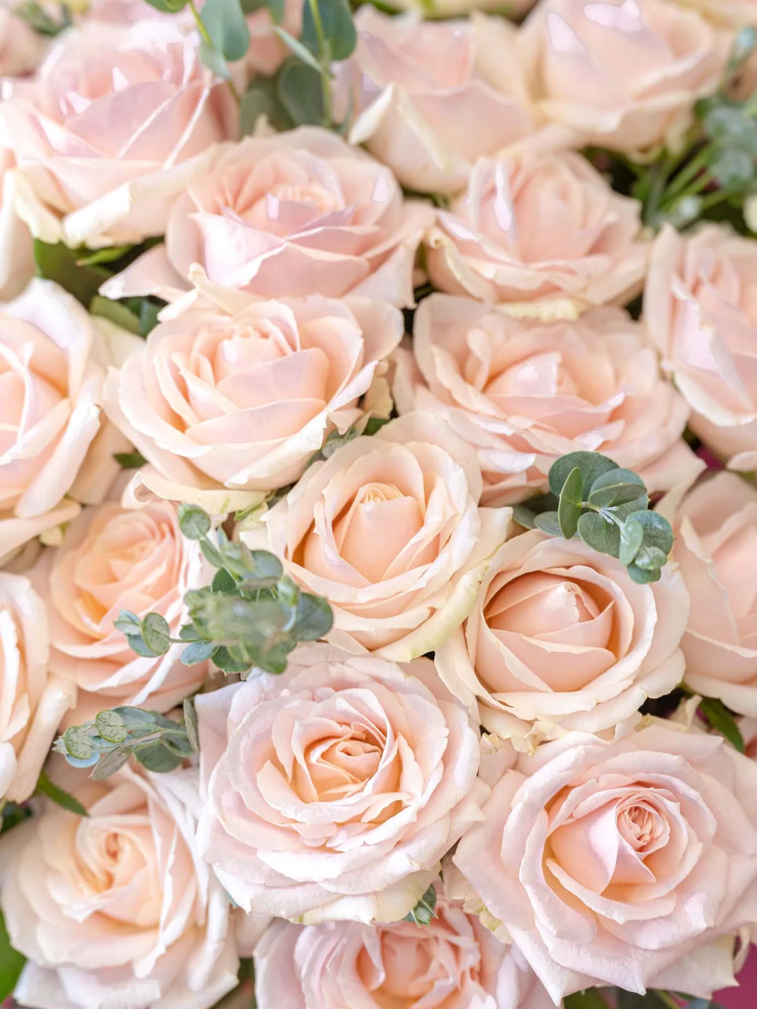 【誕生日ギフト】バラの花束 30本 - ピンク - - Image 14