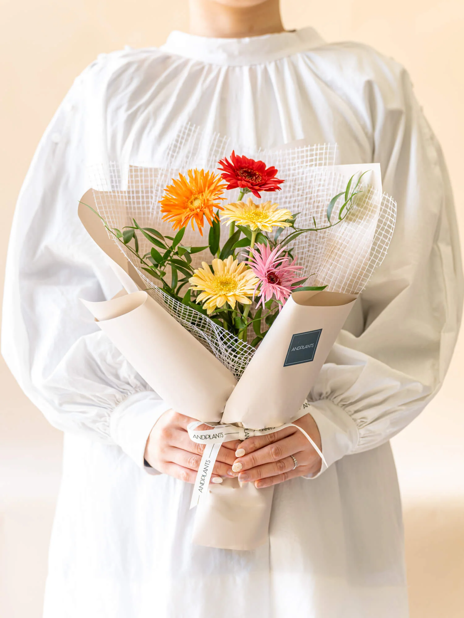 ガーベラの花束 5本 - ミックス - - Image 11