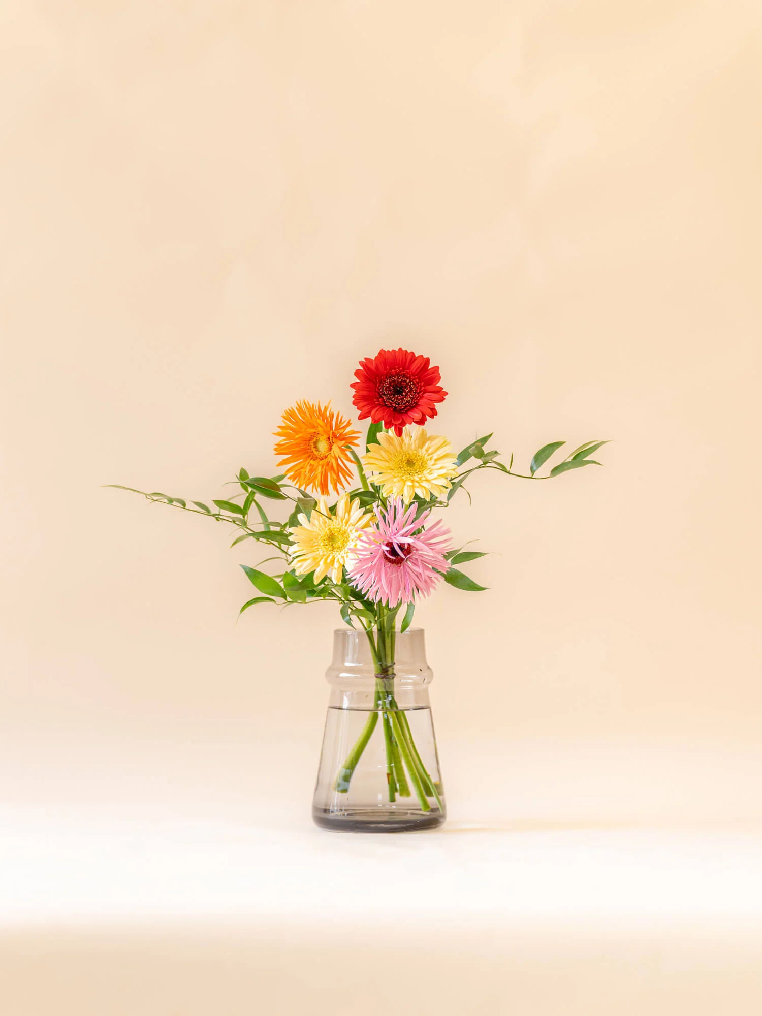 ガーベラの花束 5本 - ミックス - - Image 14