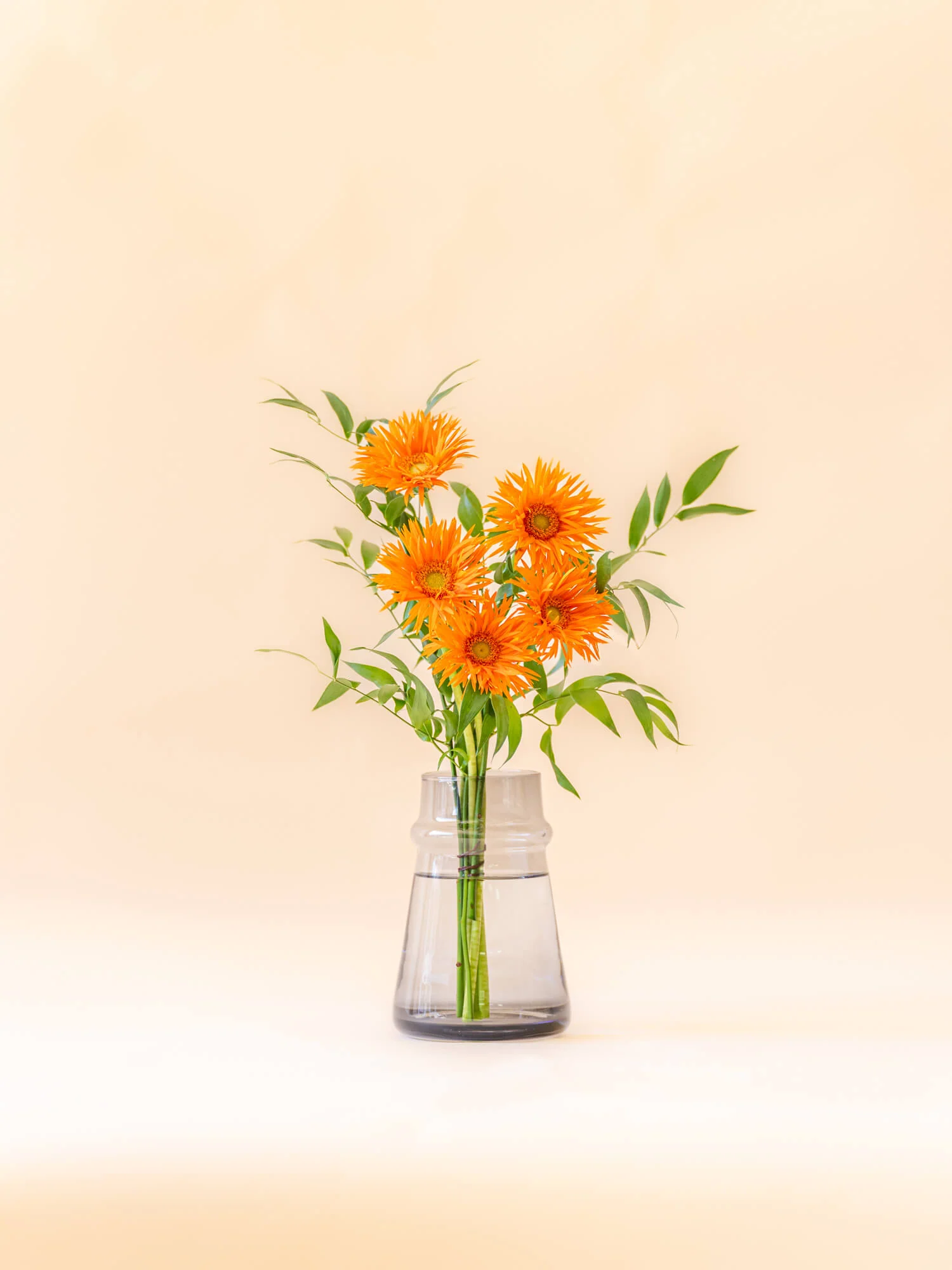 ガーベラの花束 5本 - オレンジ - - Image 12