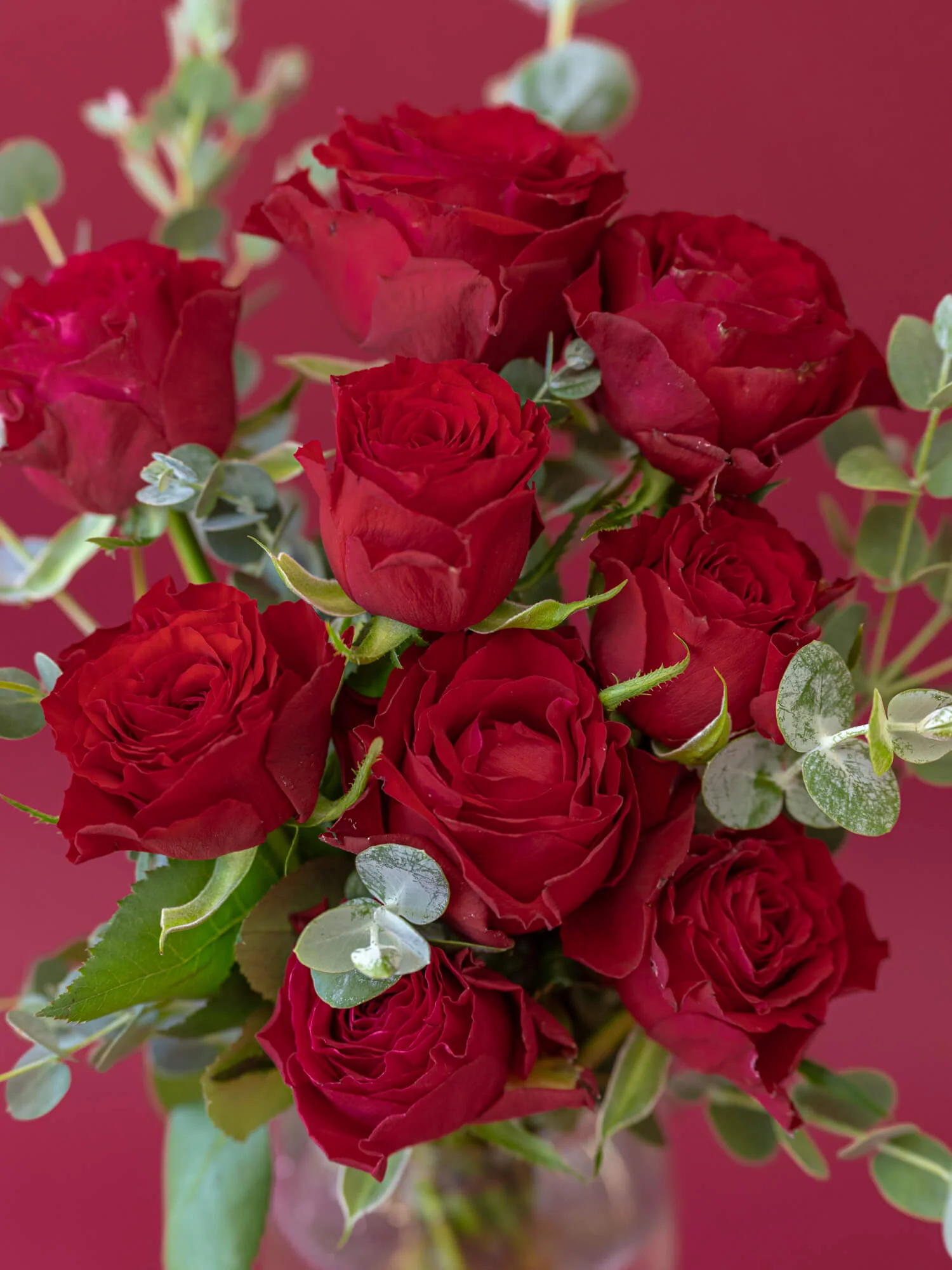 バラの花束 9本 - レッド - - Image 13