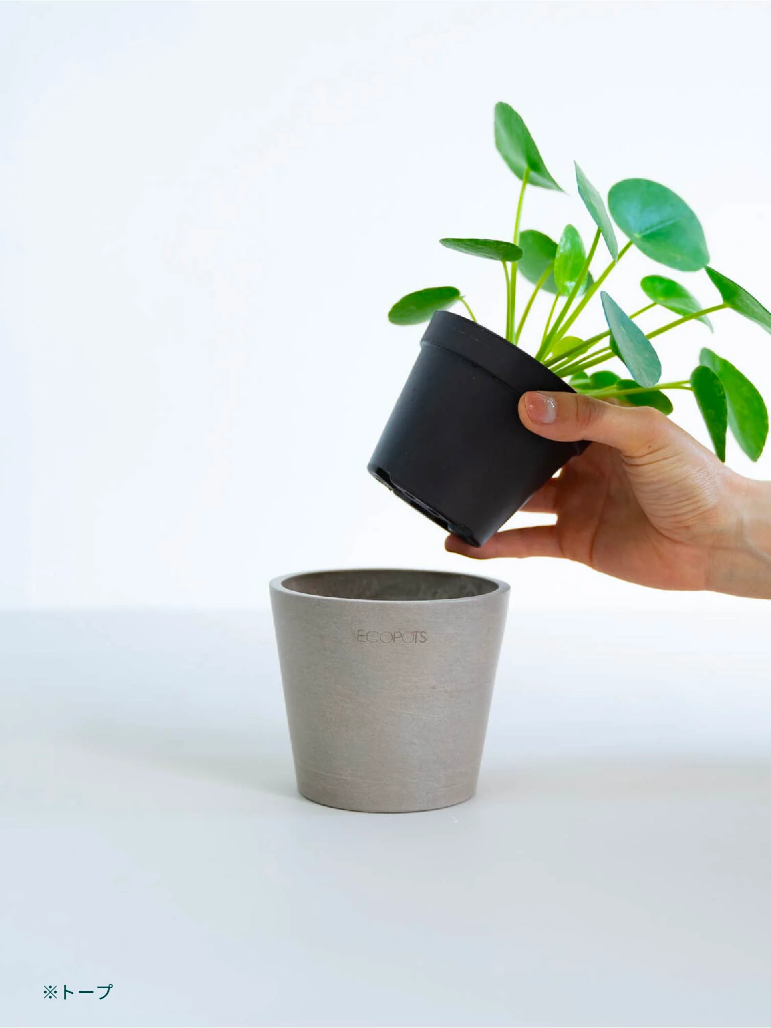 鉢カバー Table-M ECOPOTS Amsterdam - Image 13