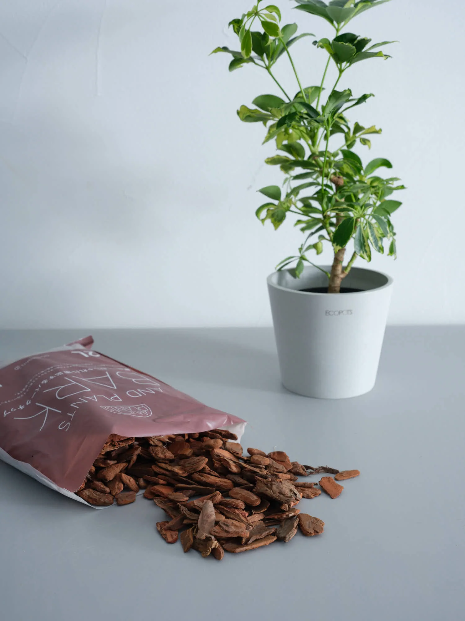 アンドプランツ 植物をおしゃれに演出するバークチップ 2L - Image 4