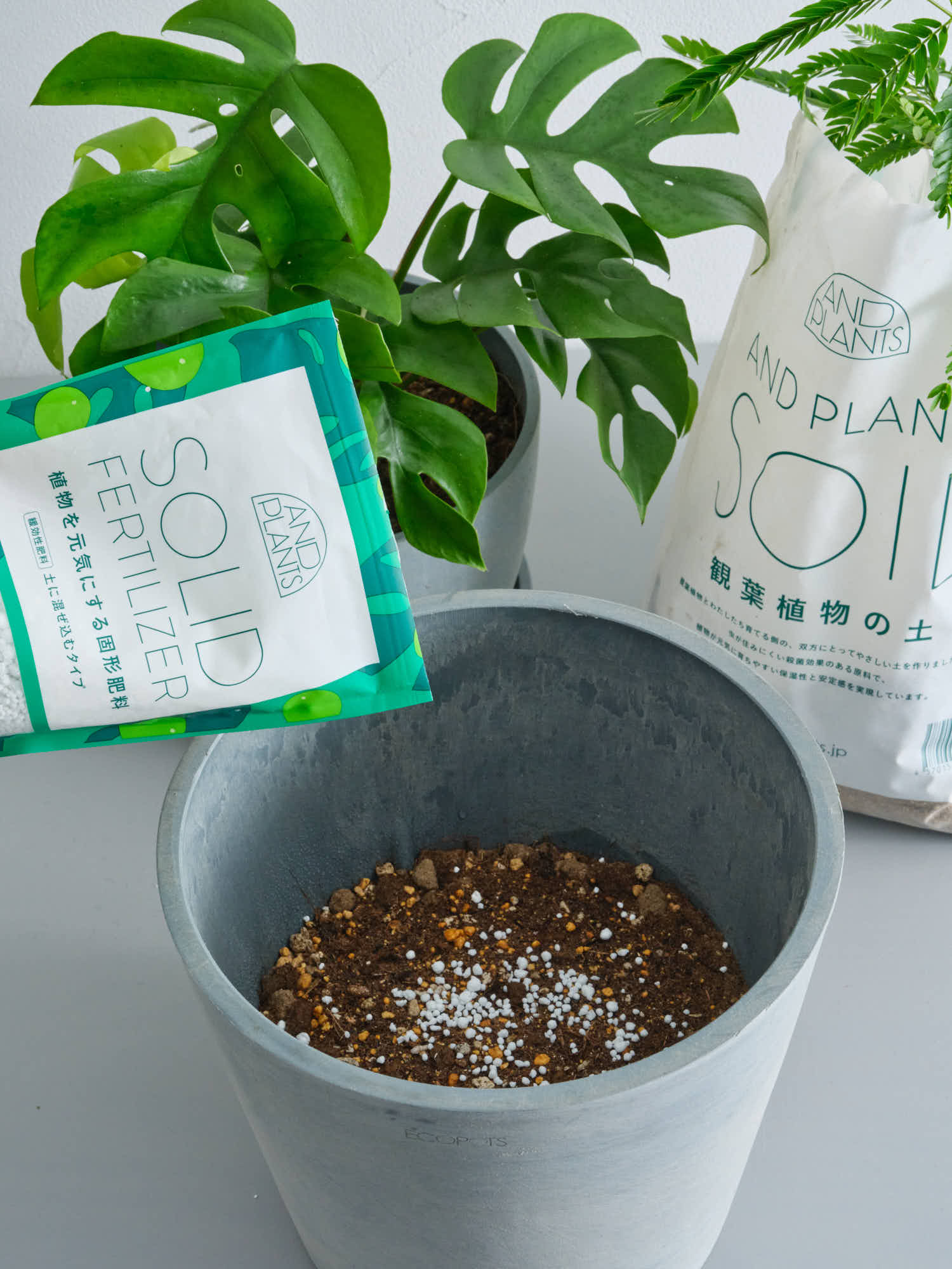 アンドプランツ 植物を元気にする固形肥料 200g - Image 4