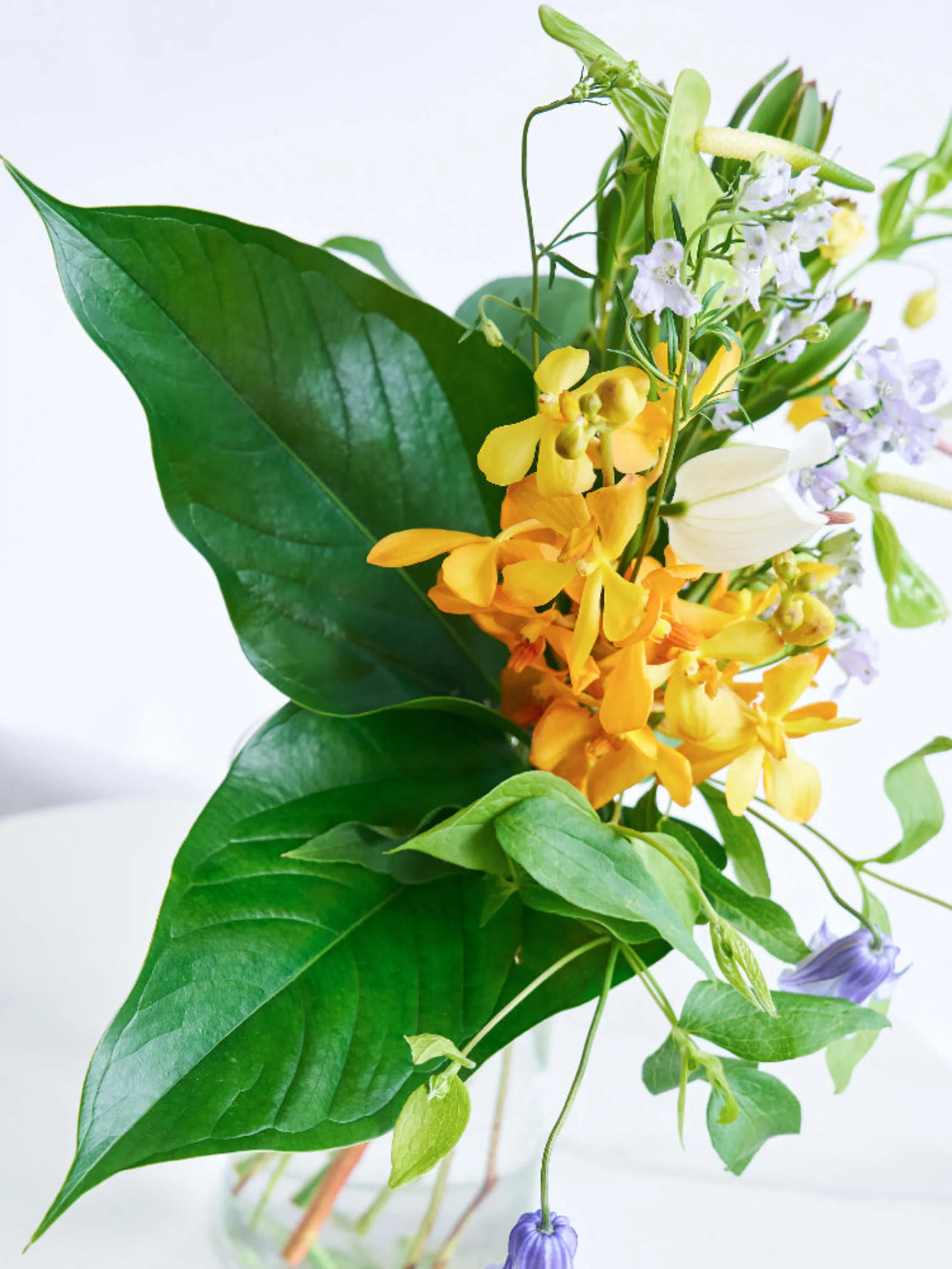 【8月の誕生花】アンスリウムの花束L - Image 12