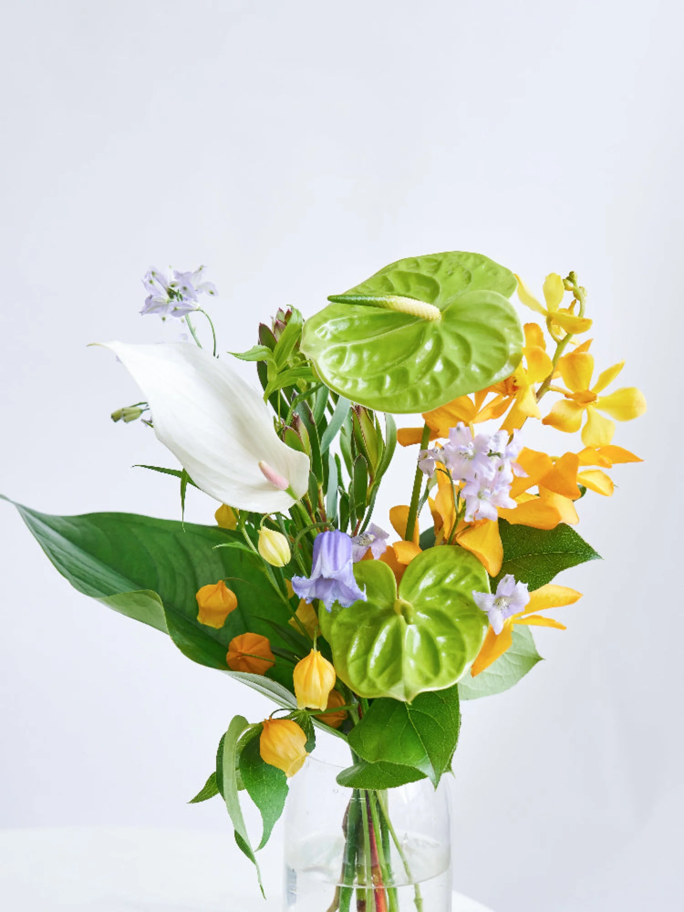 【8月の誕生花】アンスリウムの花束M - Image 5