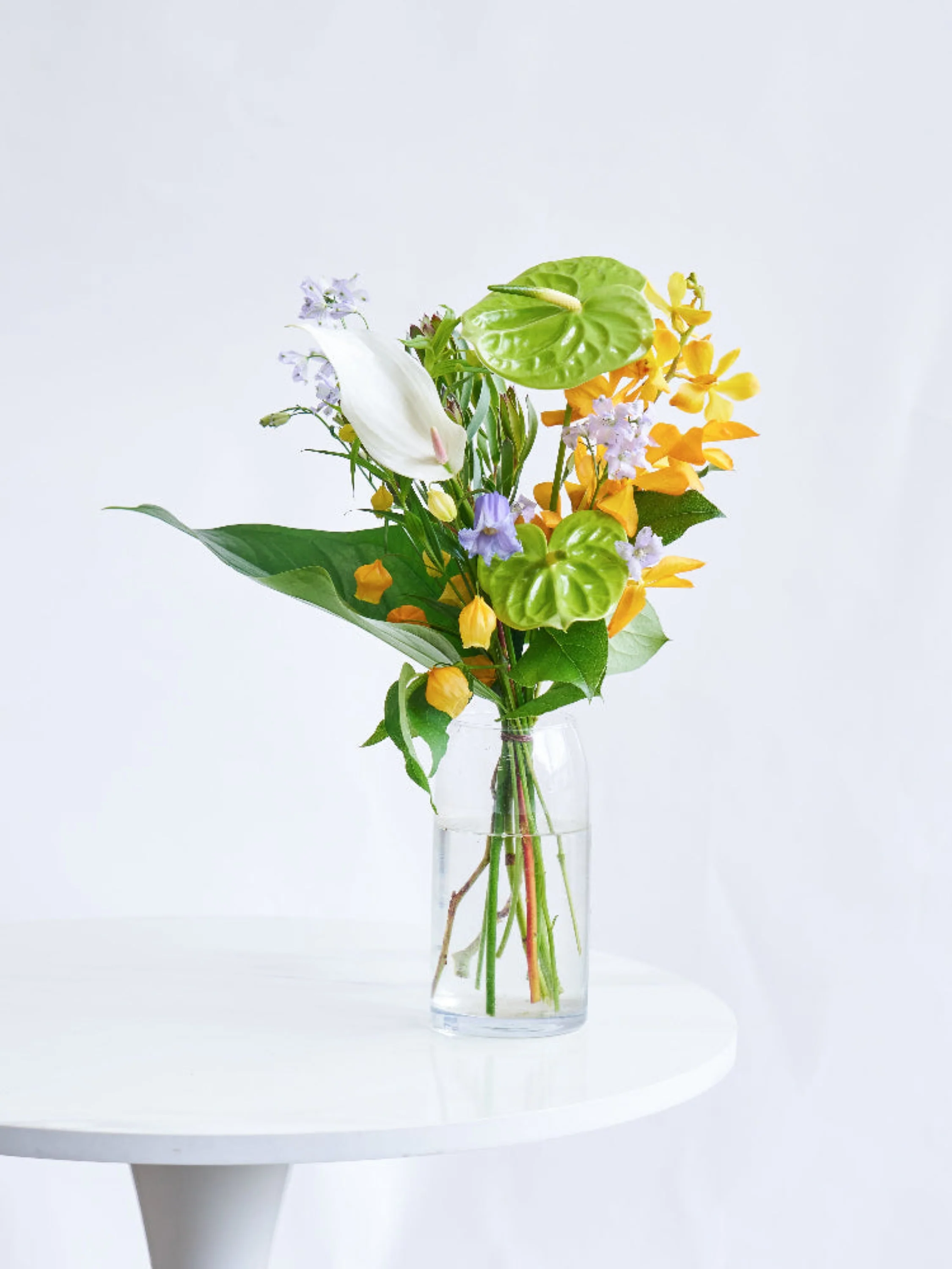 【8月の誕生花】アンスリウムの花束M - Image 6