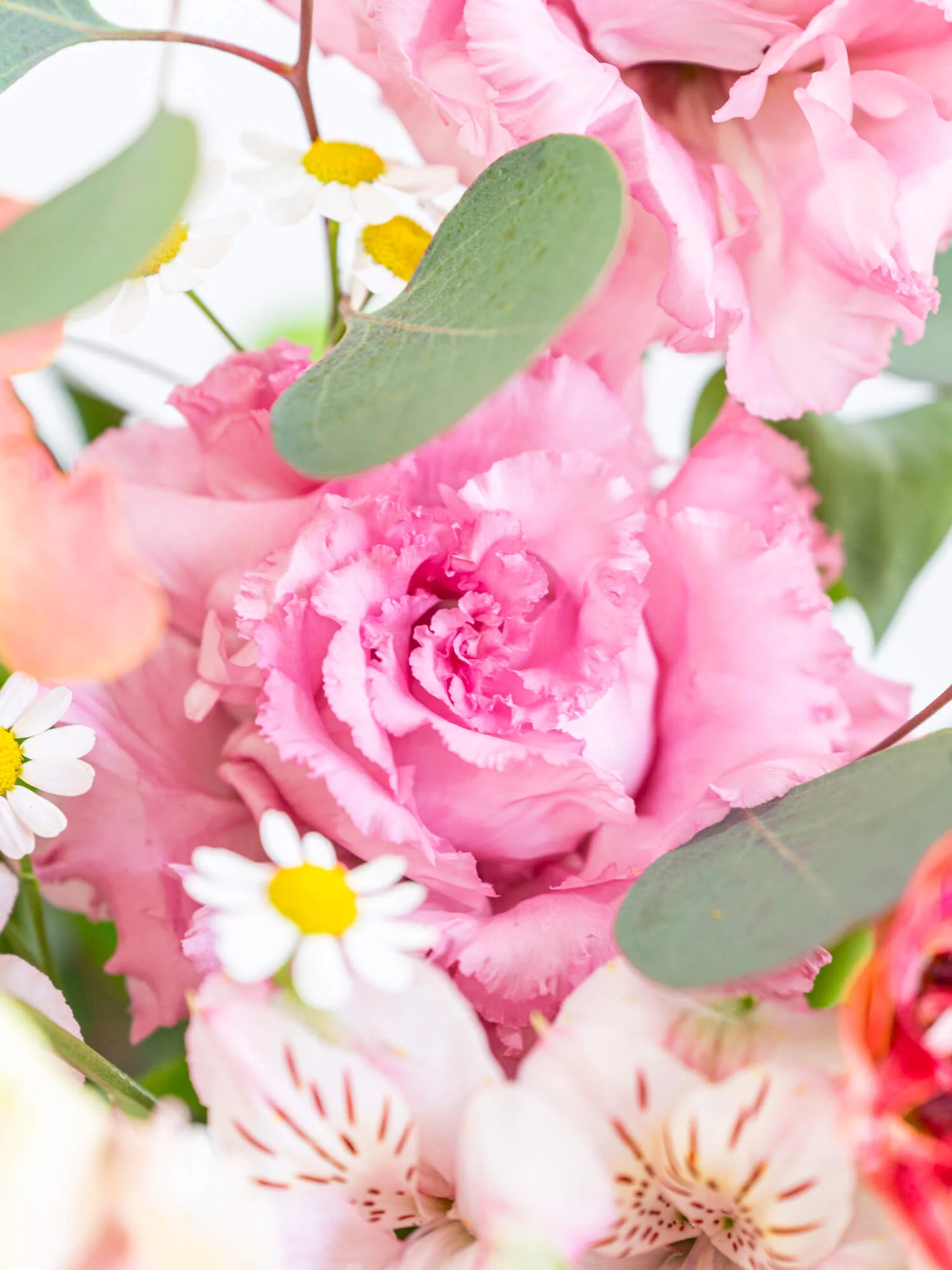 【3月の誕生花】ラナンキュラスの生花アレンジ - Image 9