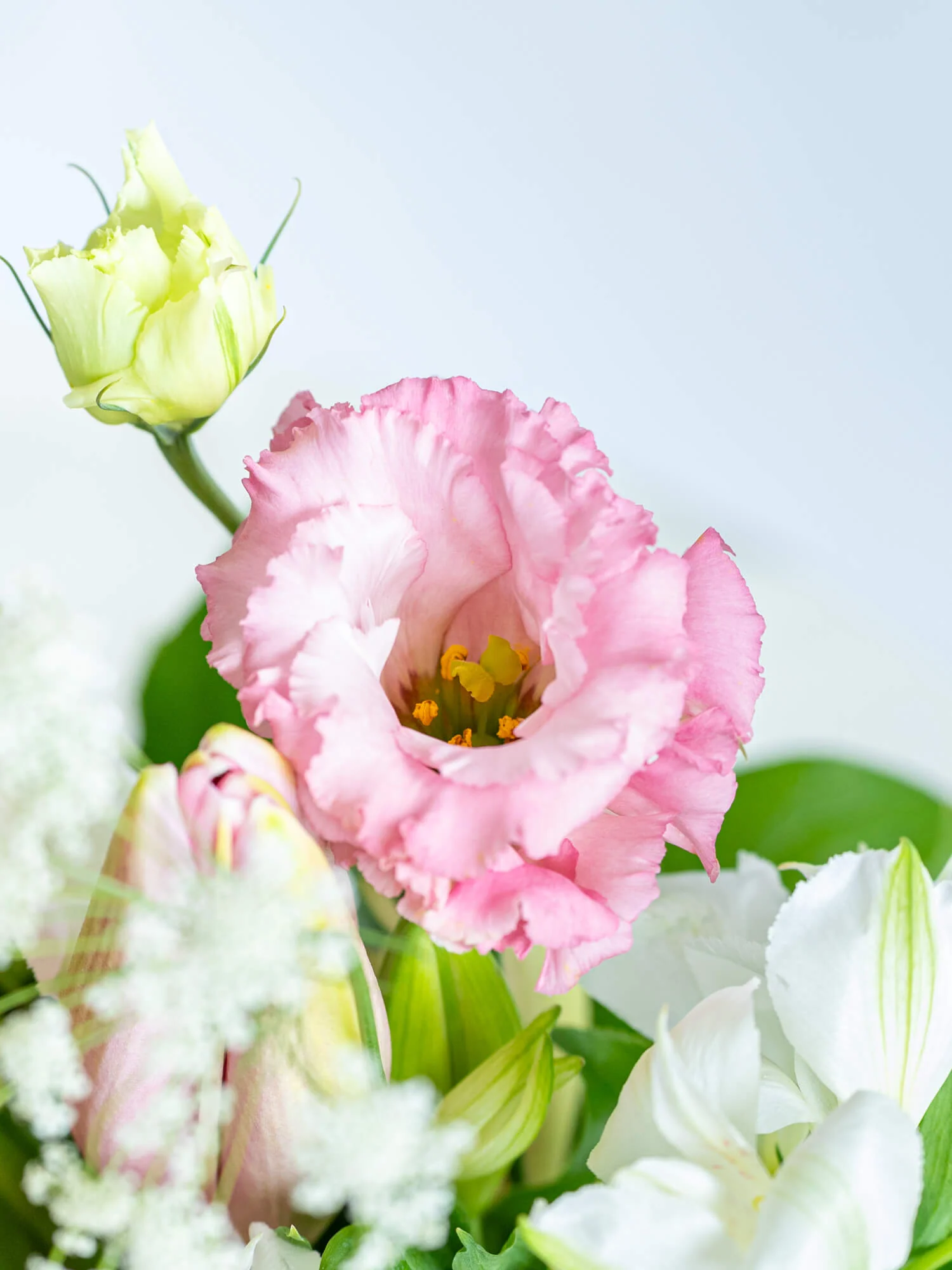 【11月の誕生花】ユリの生花アレンジ - ピンク - - Image 4