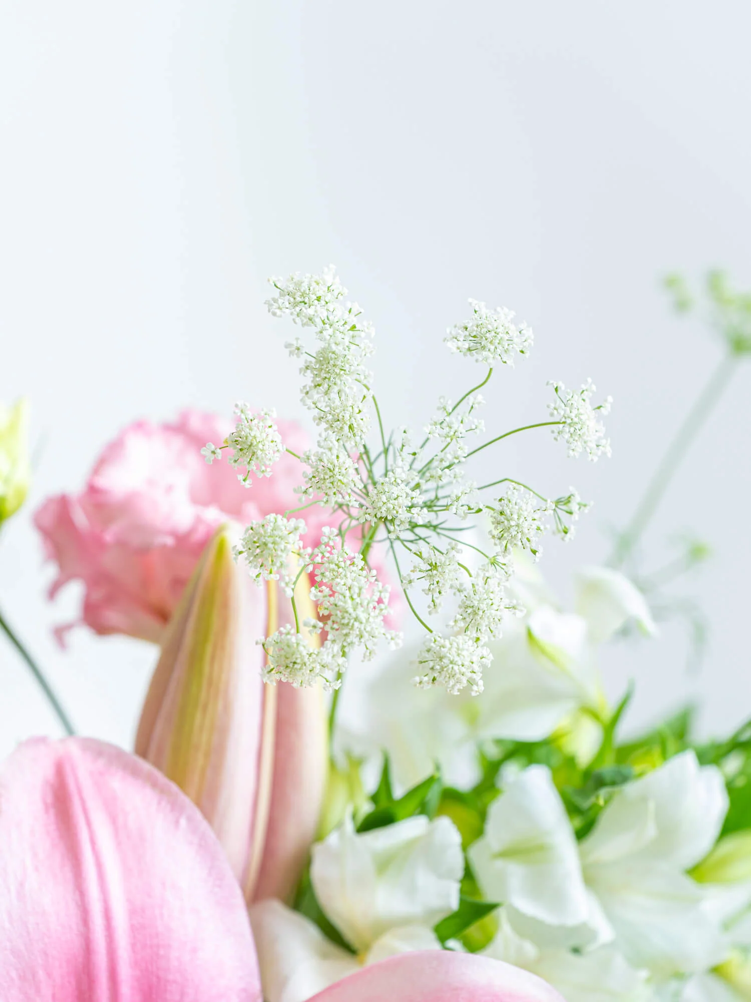 【11月の誕生花】ユリの生花アレンジ - ピンク - - Image 9