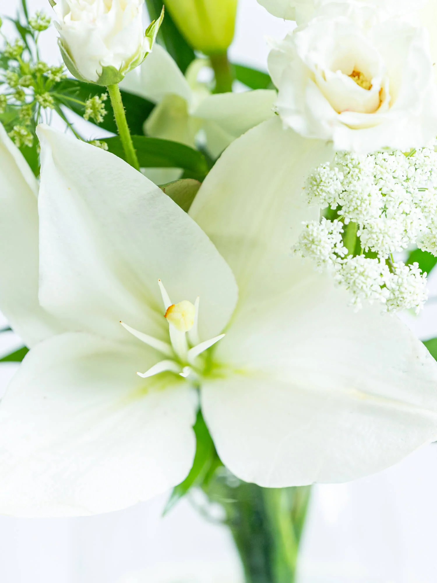 【11月の誕生花】ユリの花束M - ホワイト - - Image 12