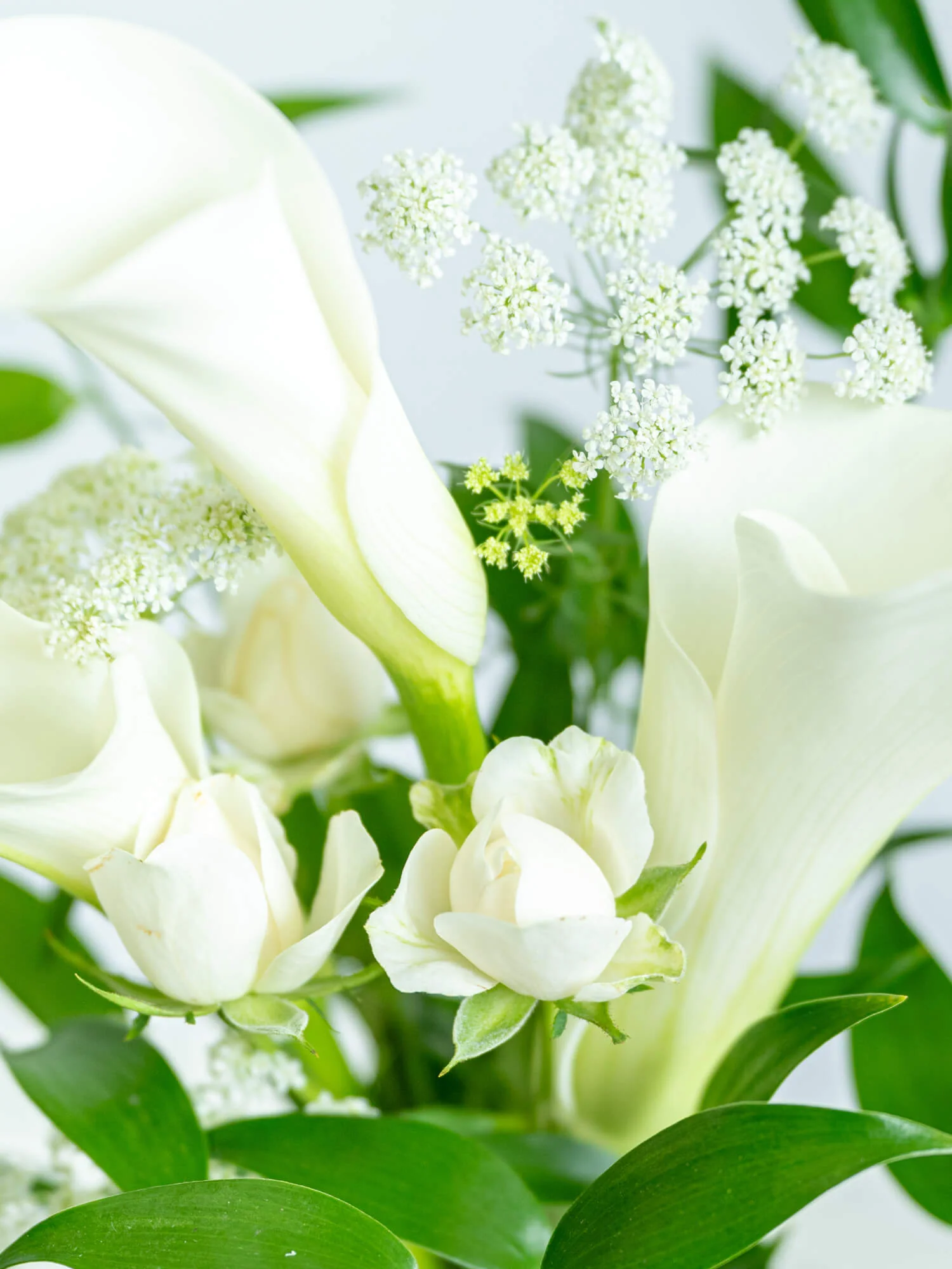 【10月の誕生花】カラーの花束M - ホワイト - - Image 12