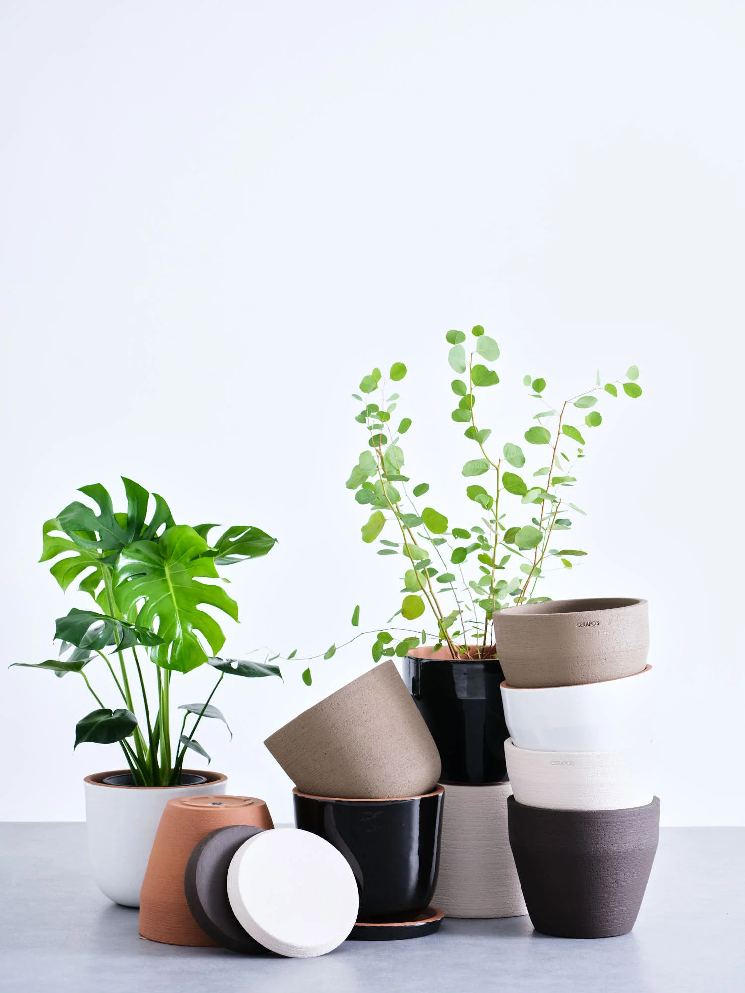 植木鉢 M CERAPOTS Bolin25 - Image 13