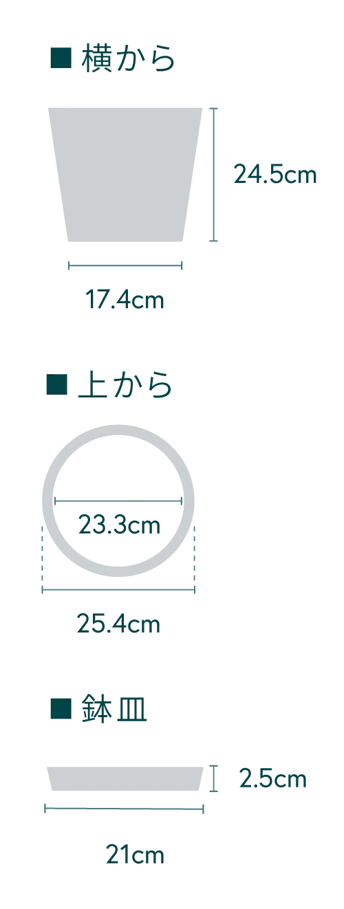 ユーカリ・グニー M - Image 16