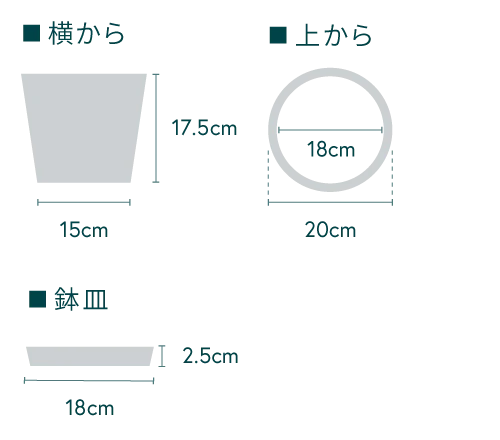 ユーカリ・グニー S - Image 20