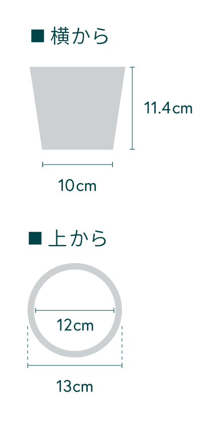 コーヒーの木 Table-M - Image 14