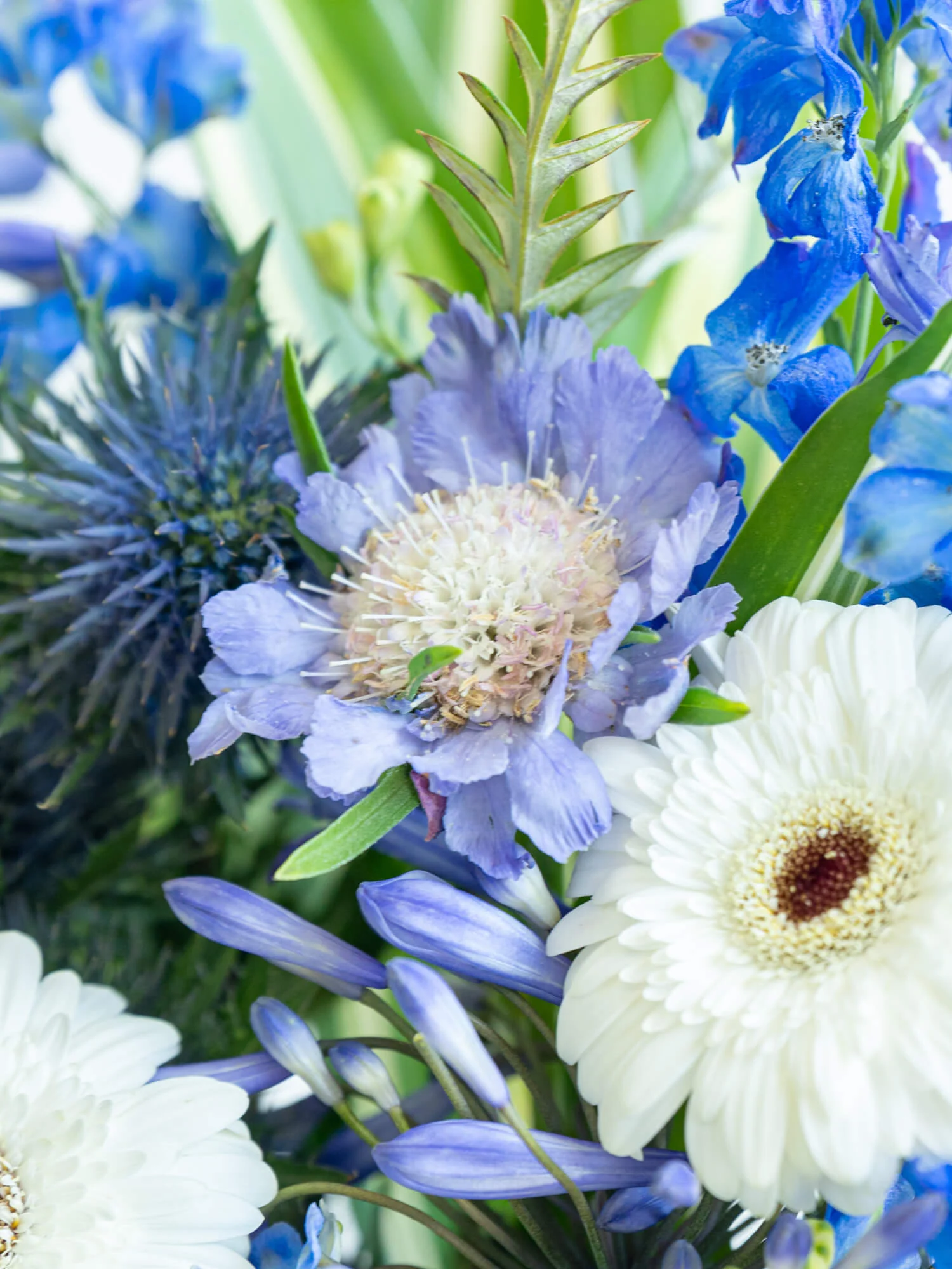 フローリストにおまかせ 季節の花束 L - ブルー - - Image 10