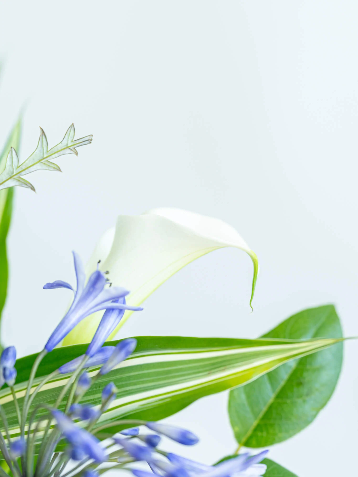 フローリストにおまかせ 季節の花束 L - ブルー - - Image 20