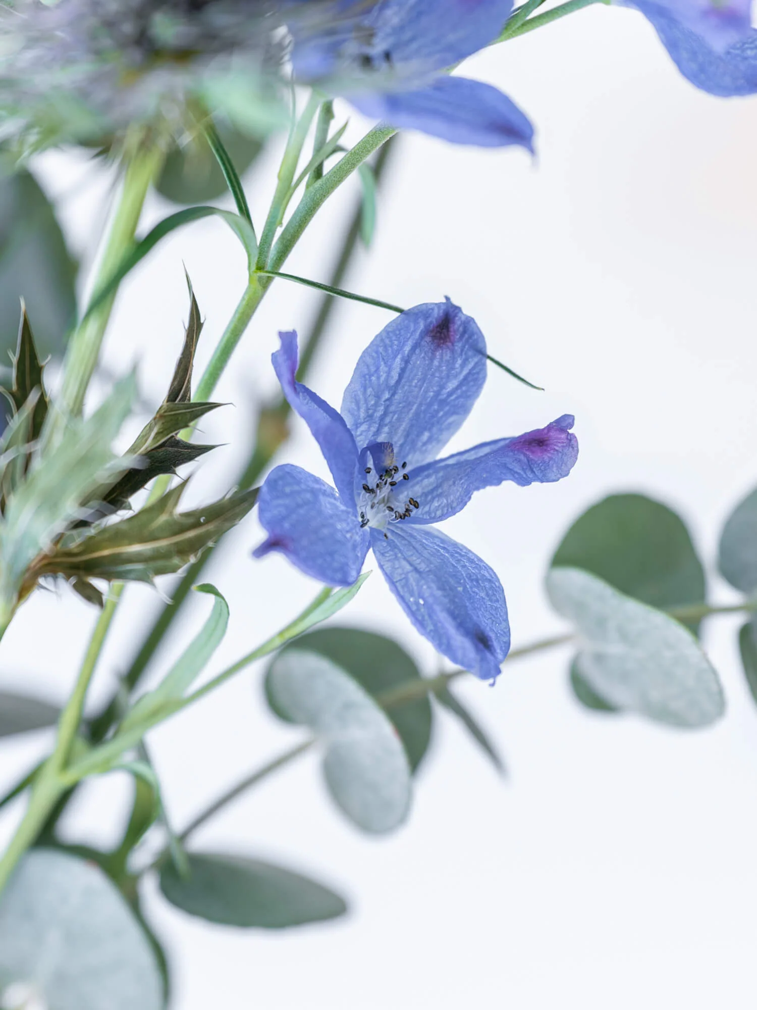 フローリストにおまかせ 季節の花束 S - ブルー - - Image 17