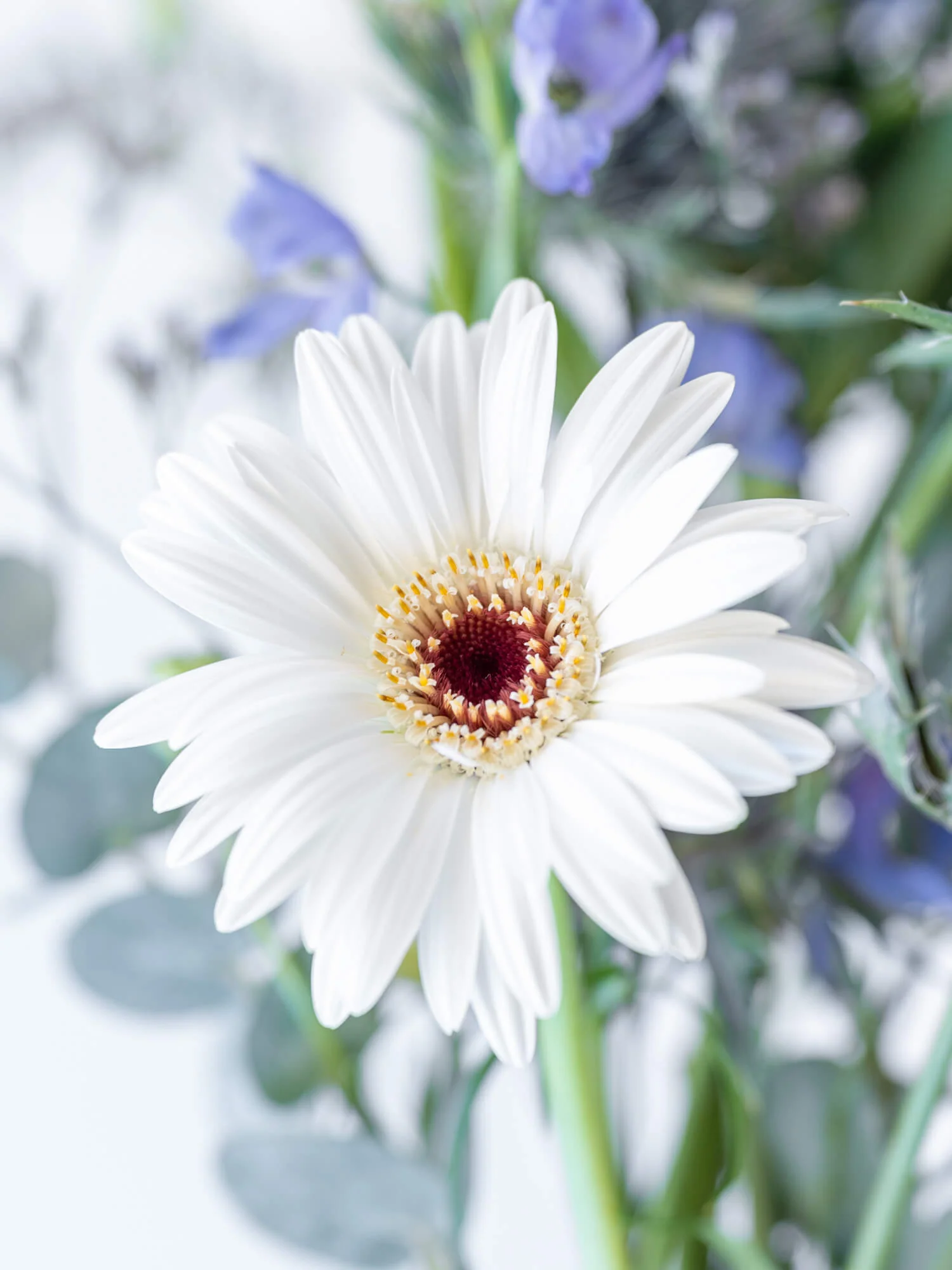 【誕生日ギフト】 フローリストにおまかせ 季節の花束 S - ブルー - - Image 15