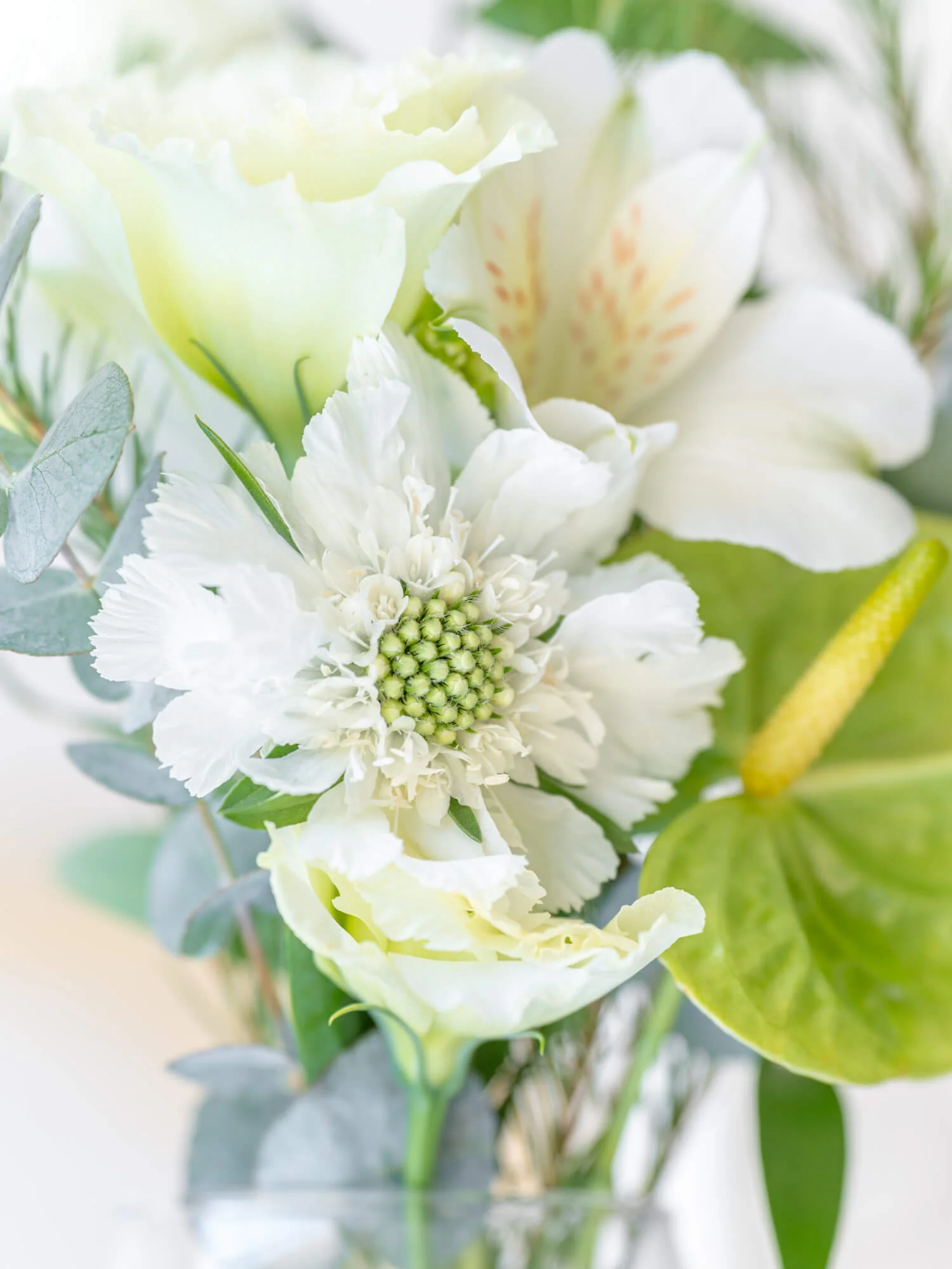 【誕生日ギフト】 フローリストにおまかせ 季節の花束 S - グリーン&ホワイト - - Image 13