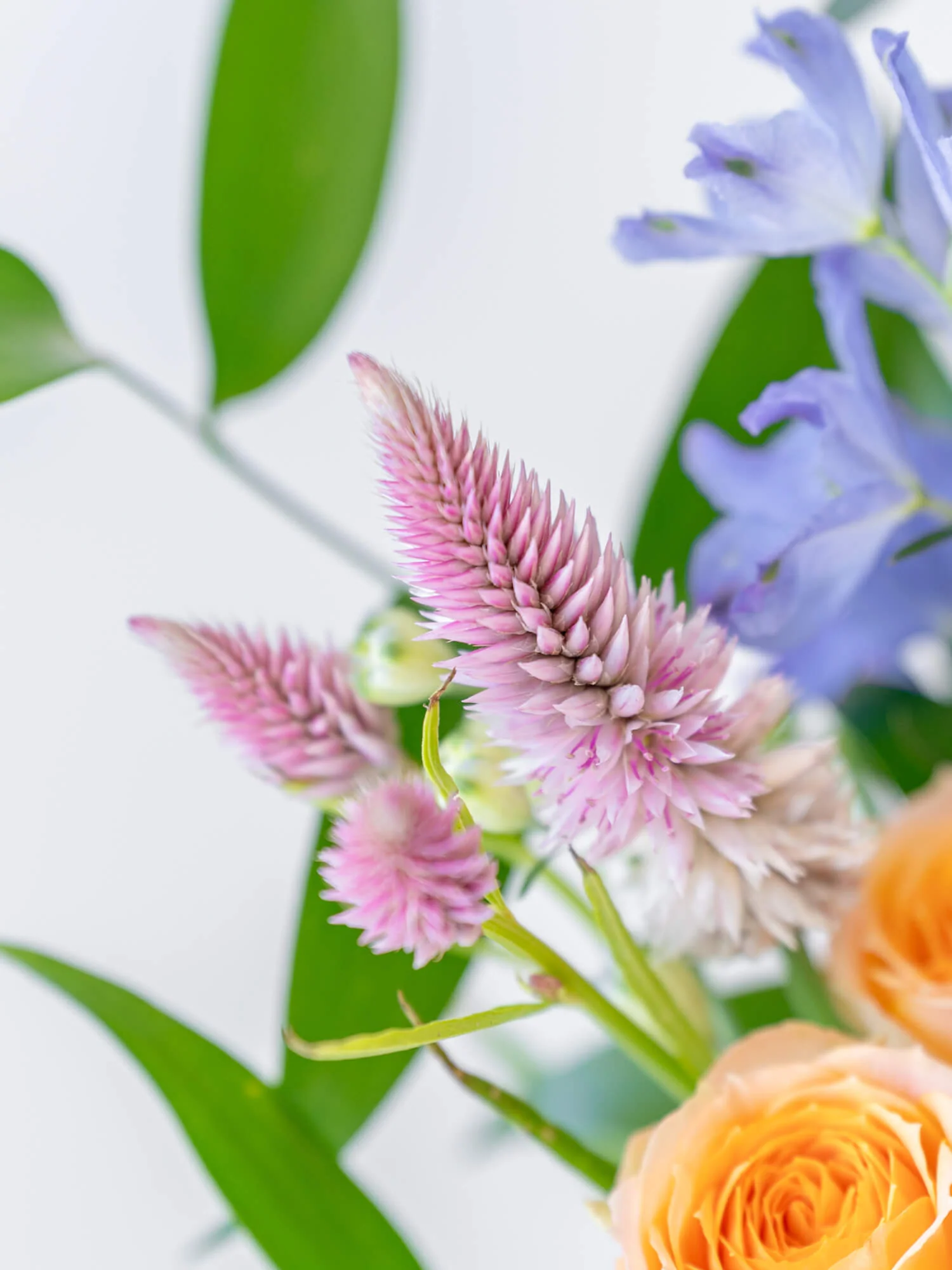 フローリストにおまかせ 季節の花束 S - ミックス - - Image 7