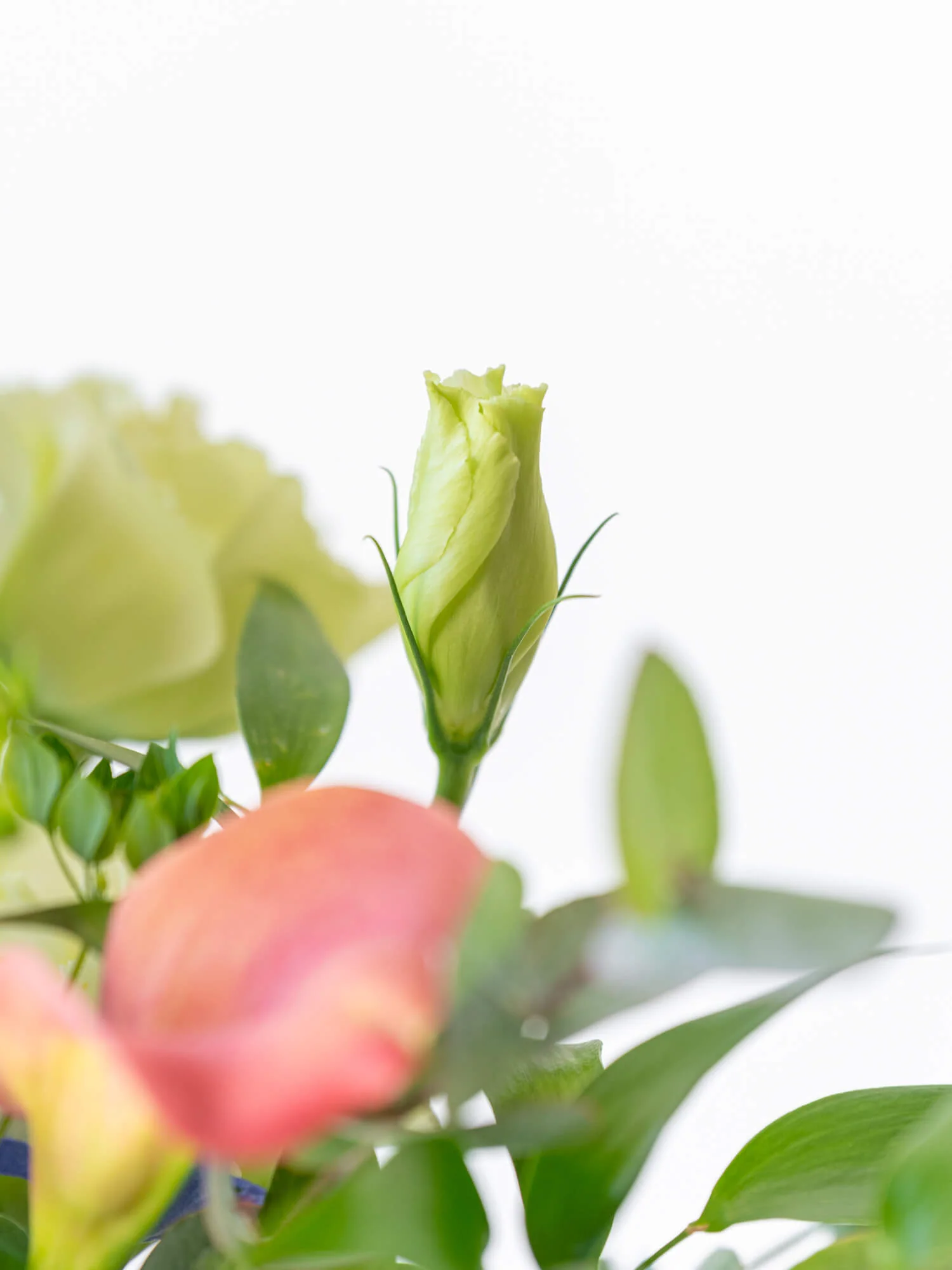 フローリストにおまかせ 季節の花束 M - ミックス - - Image 9