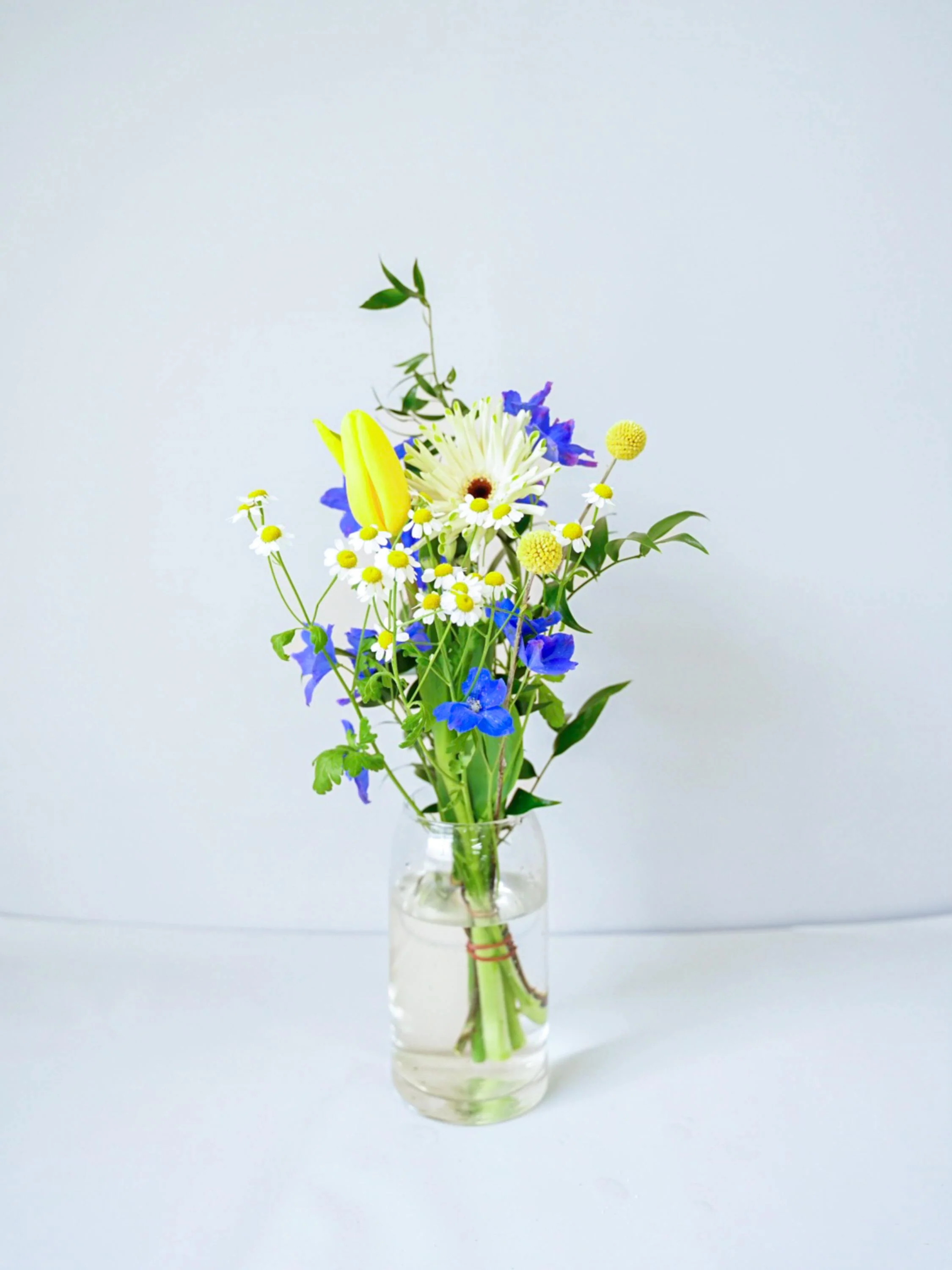 【誕生日ギフト】 フローリストにおまかせ 季節の花束 S - ミックス - - Image 24