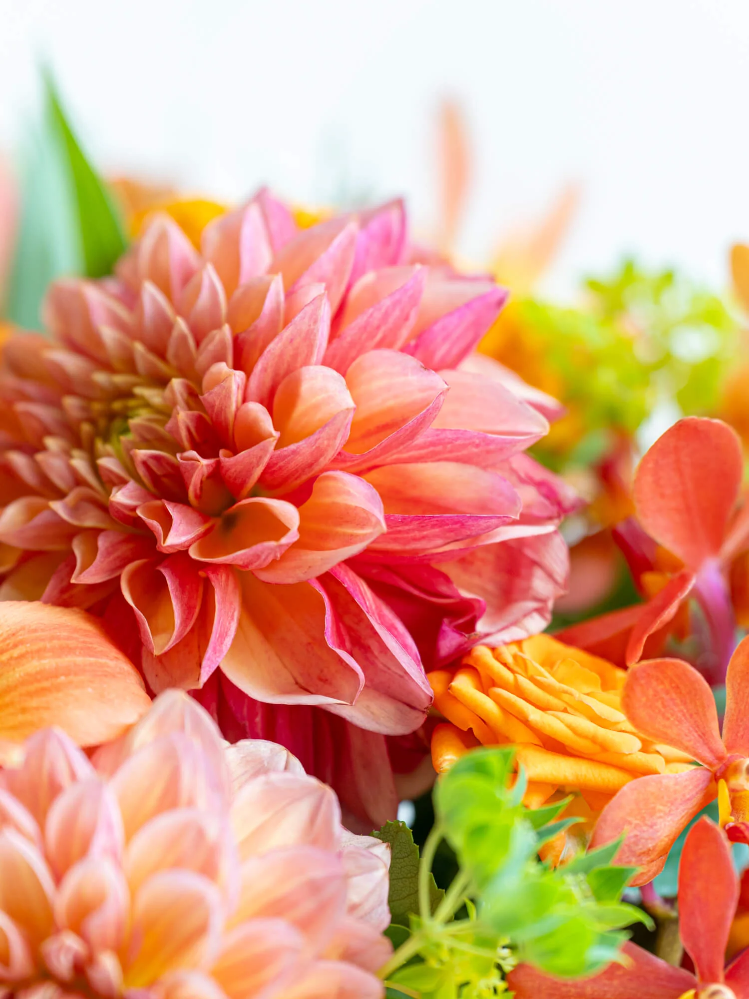 フローリストにおまかせ 季節の花束 L - オレンジ - - Image 17