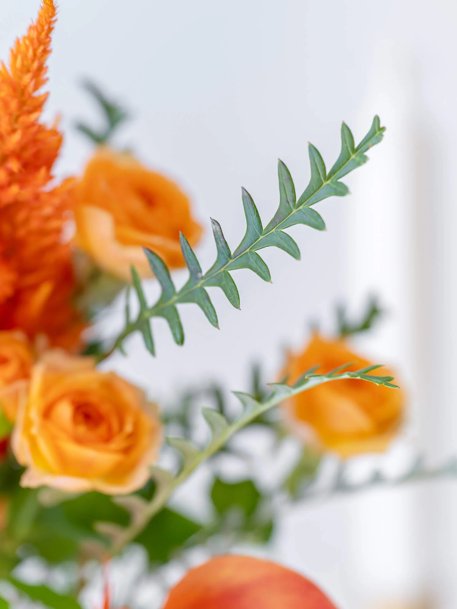 フローリストにおまかせ 季節の花束 S - オレンジ - - Image 17