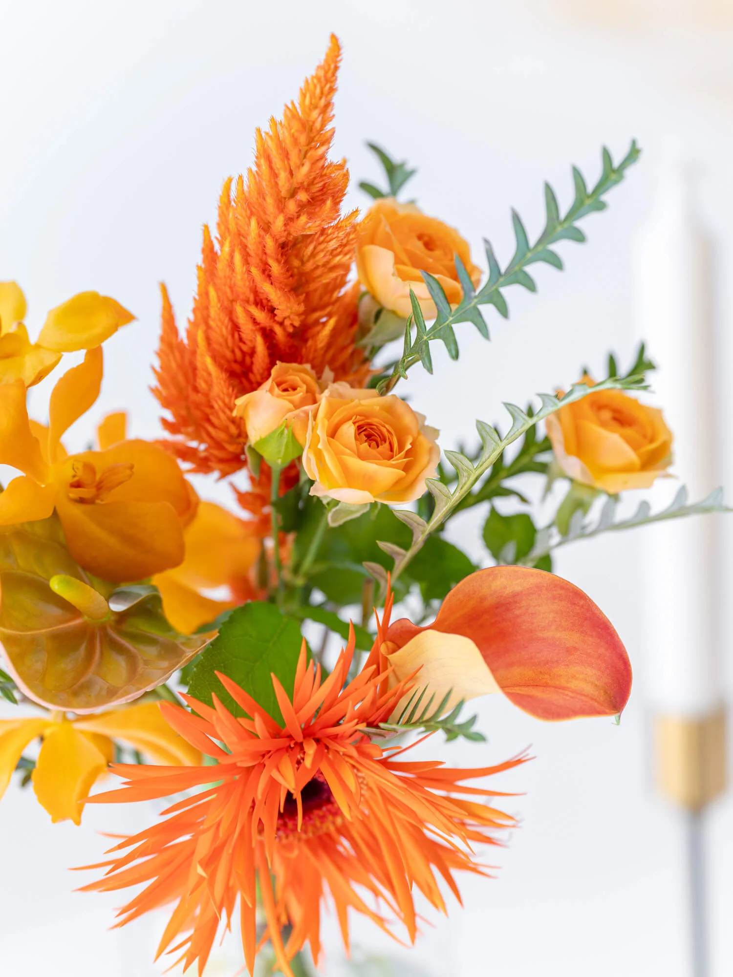 【誕生日ギフト】 フローリストにおまかせ 季節の花束 S - オレンジ - - Image 10