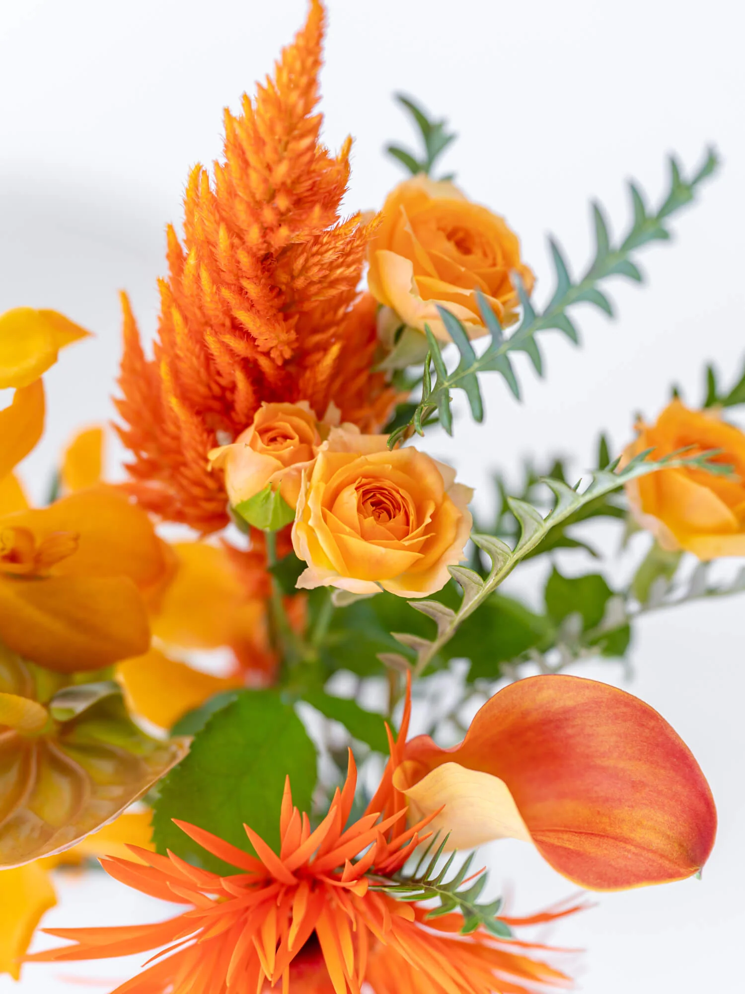 【誕生日ギフト】 フローリストにおまかせ 季節の花束 S - オレンジ - - Image 13