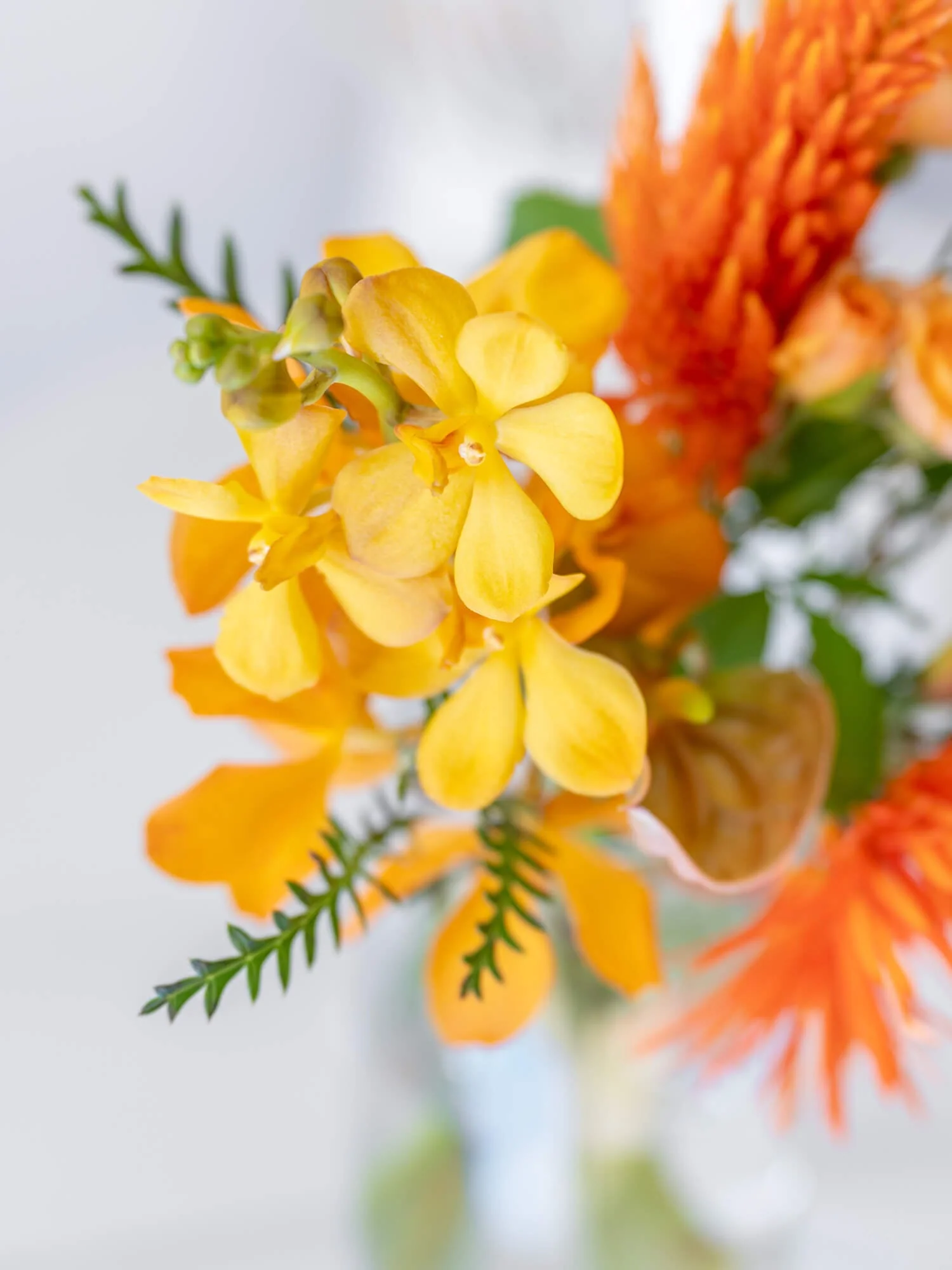 【誕生日ギフト】 フローリストにおまかせ 季節の花束 S - オレンジ - - Image 14