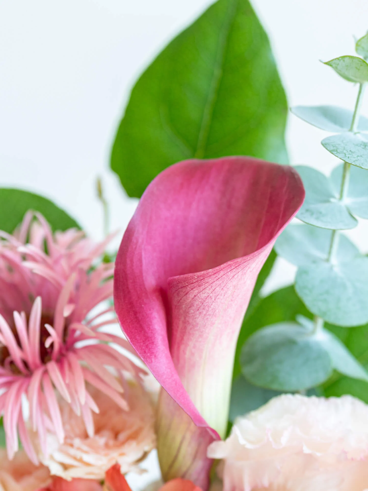 フローリストにおまかせ 季節の花束 L - ピンク - - Image 13