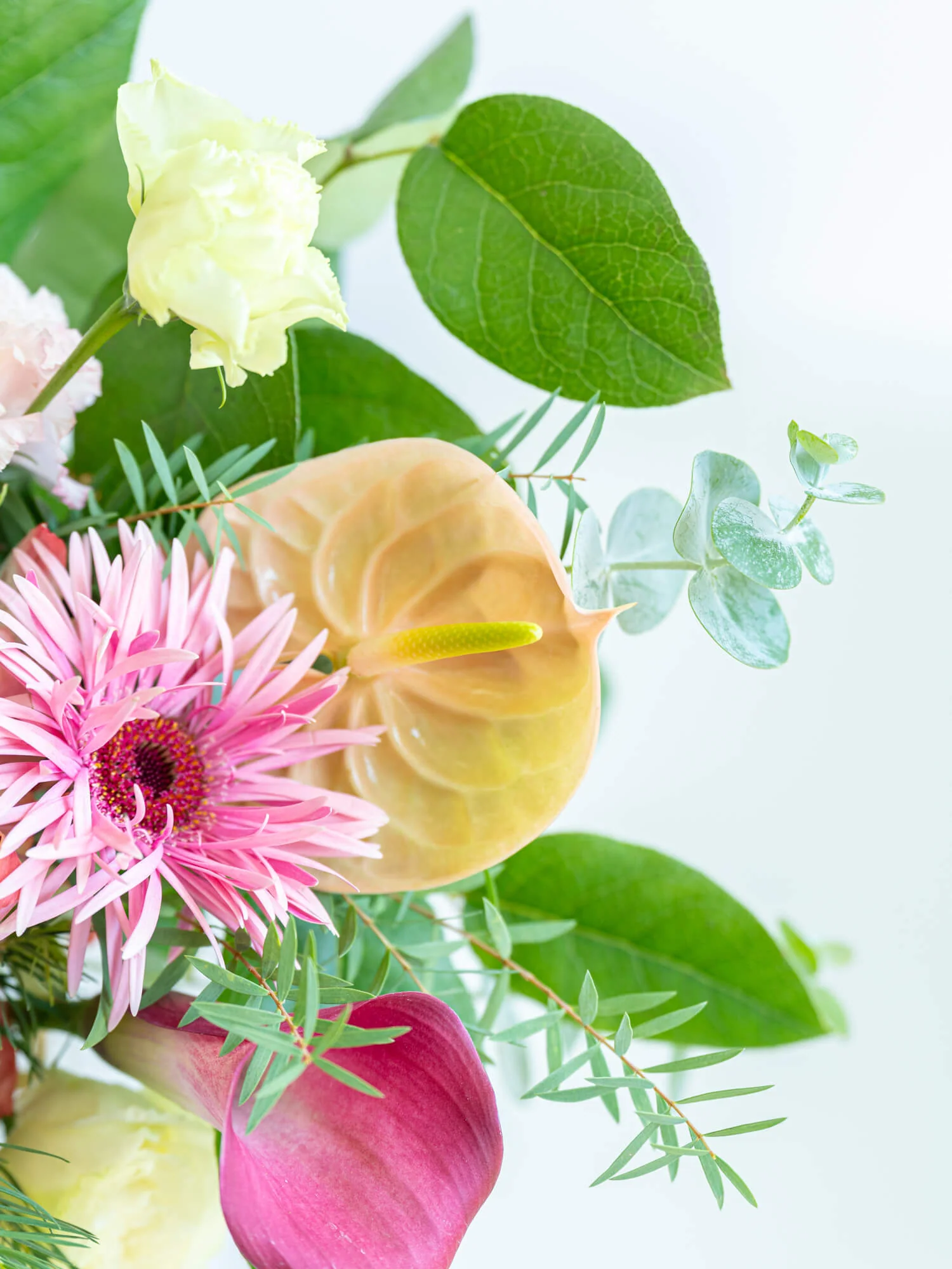 フローリストにおまかせ 季節の花束 L - ピンク - - Image 21