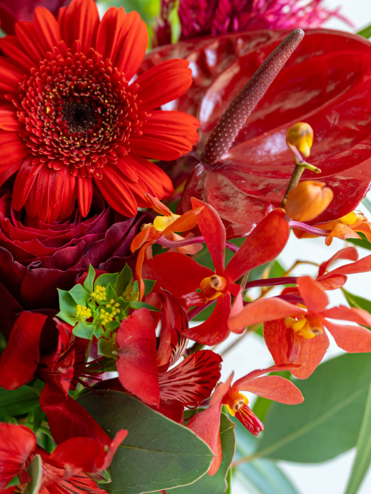 フローリストにおまかせ 季節の花束 L - レッド - - Image 11