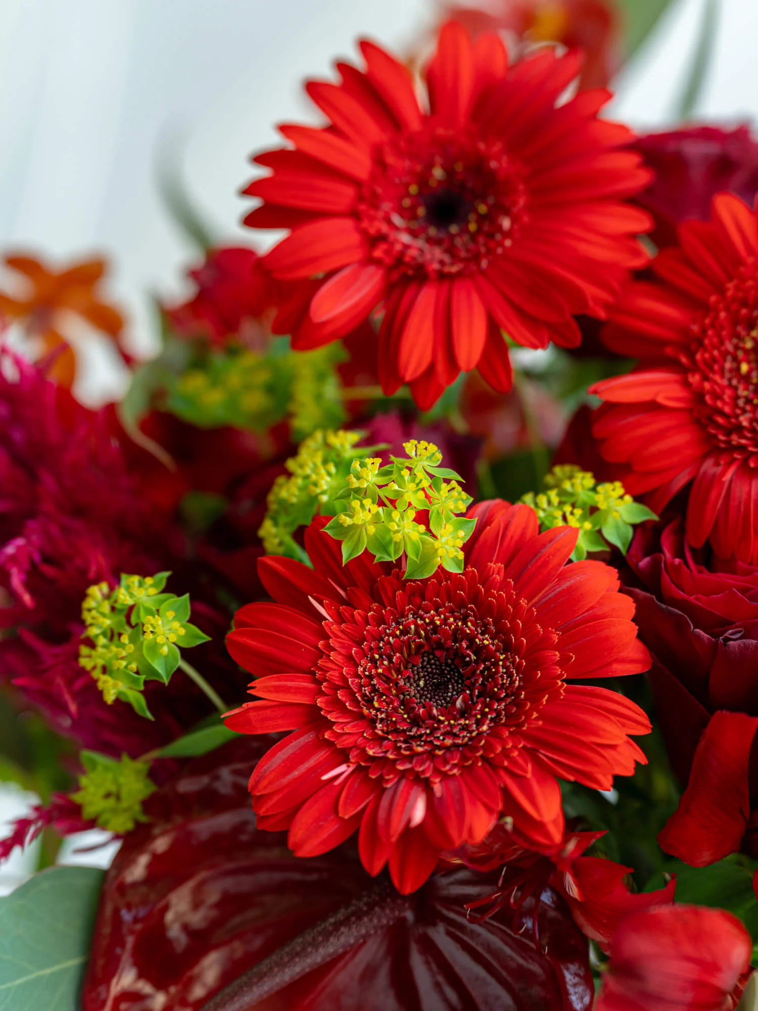 フローリストにおまかせ 季節の花束 L - レッド - - Image 12